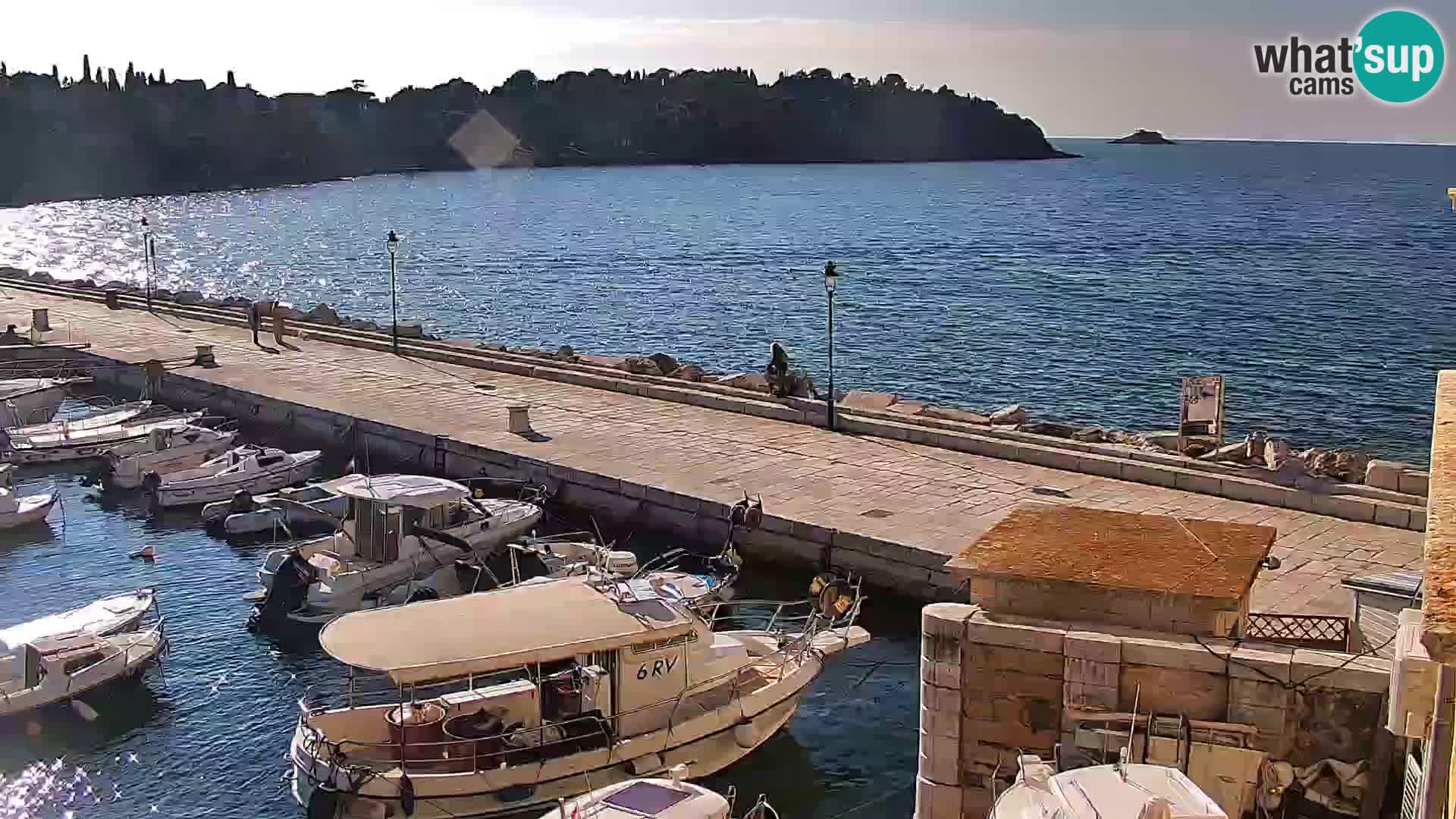 Webcam Rovinj Promenade – Istrien – Kroatien