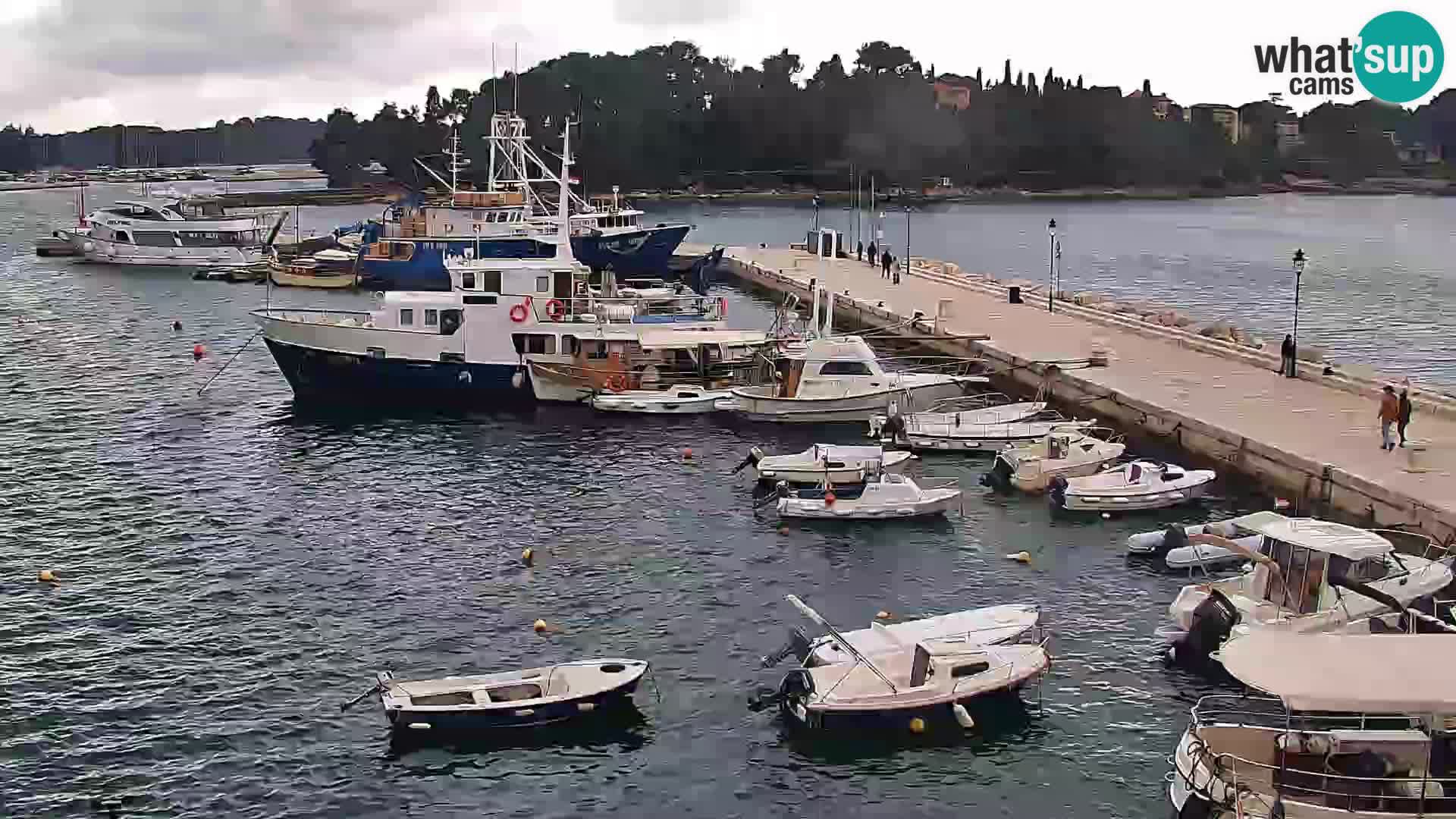 Rovinj webcam promenade and marina – Istria – Croatia