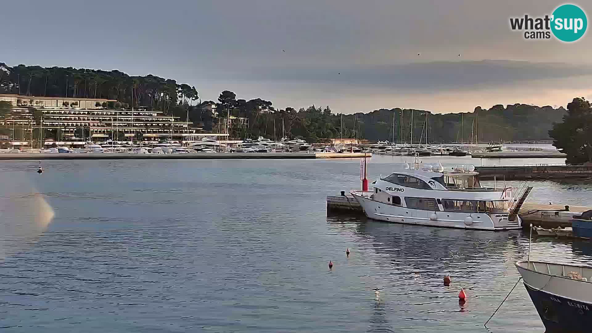 Promenada i marina u Rovinju