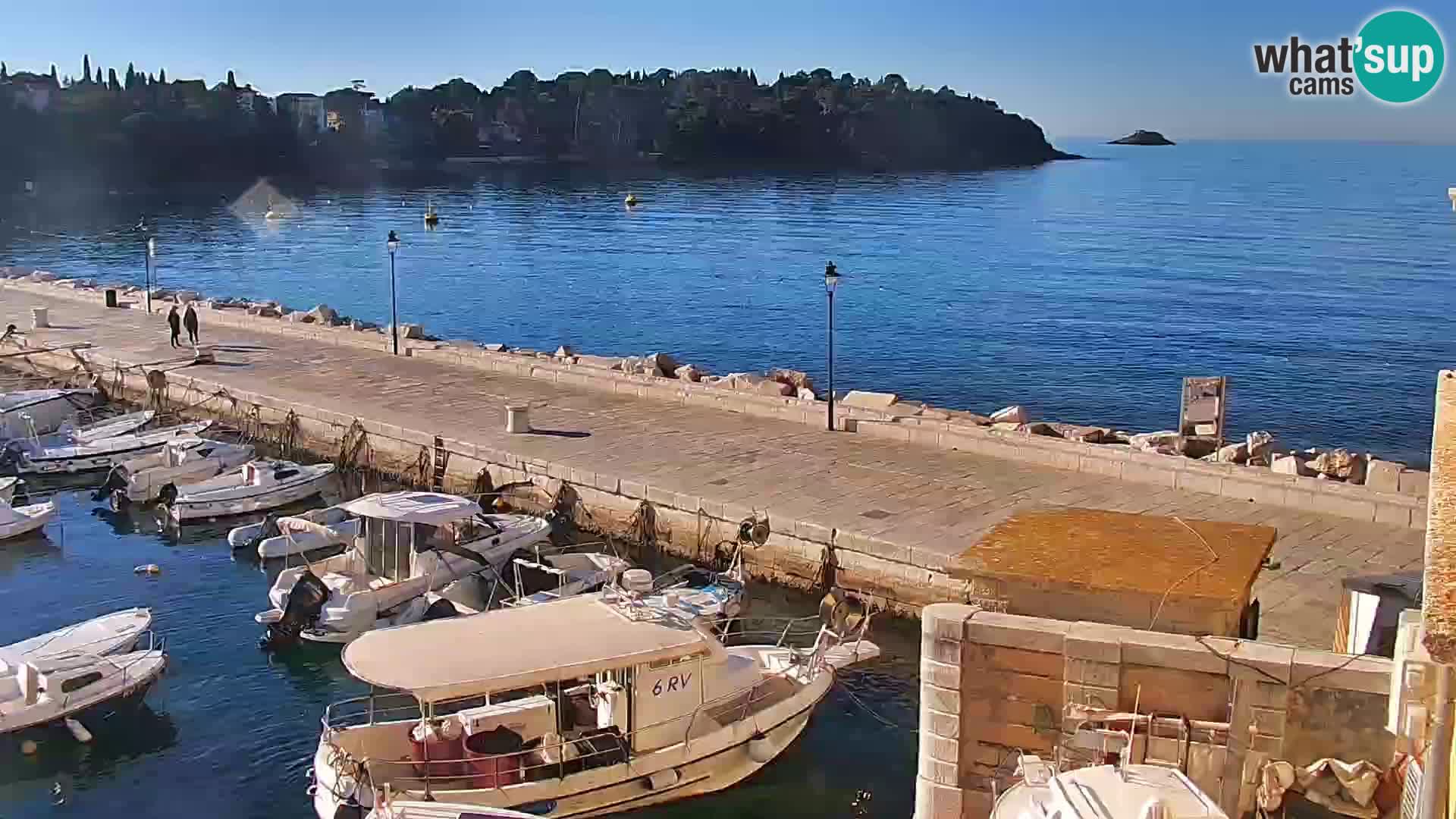 Webcam Rovigno marina | Lungomare | Rovinj Croazia