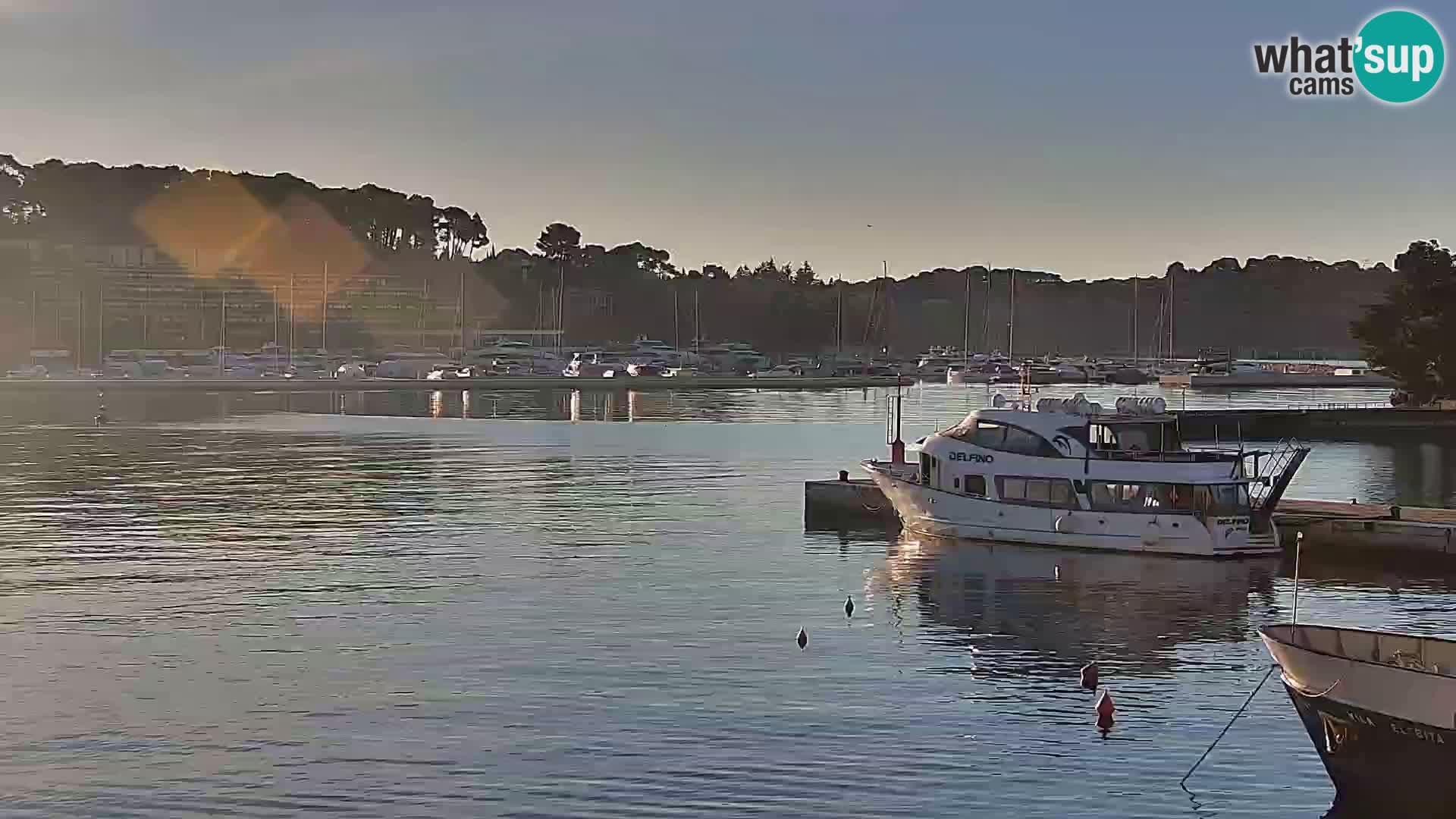 Spletna kamera Rovinj promenada in marina | Rovinj Vreme