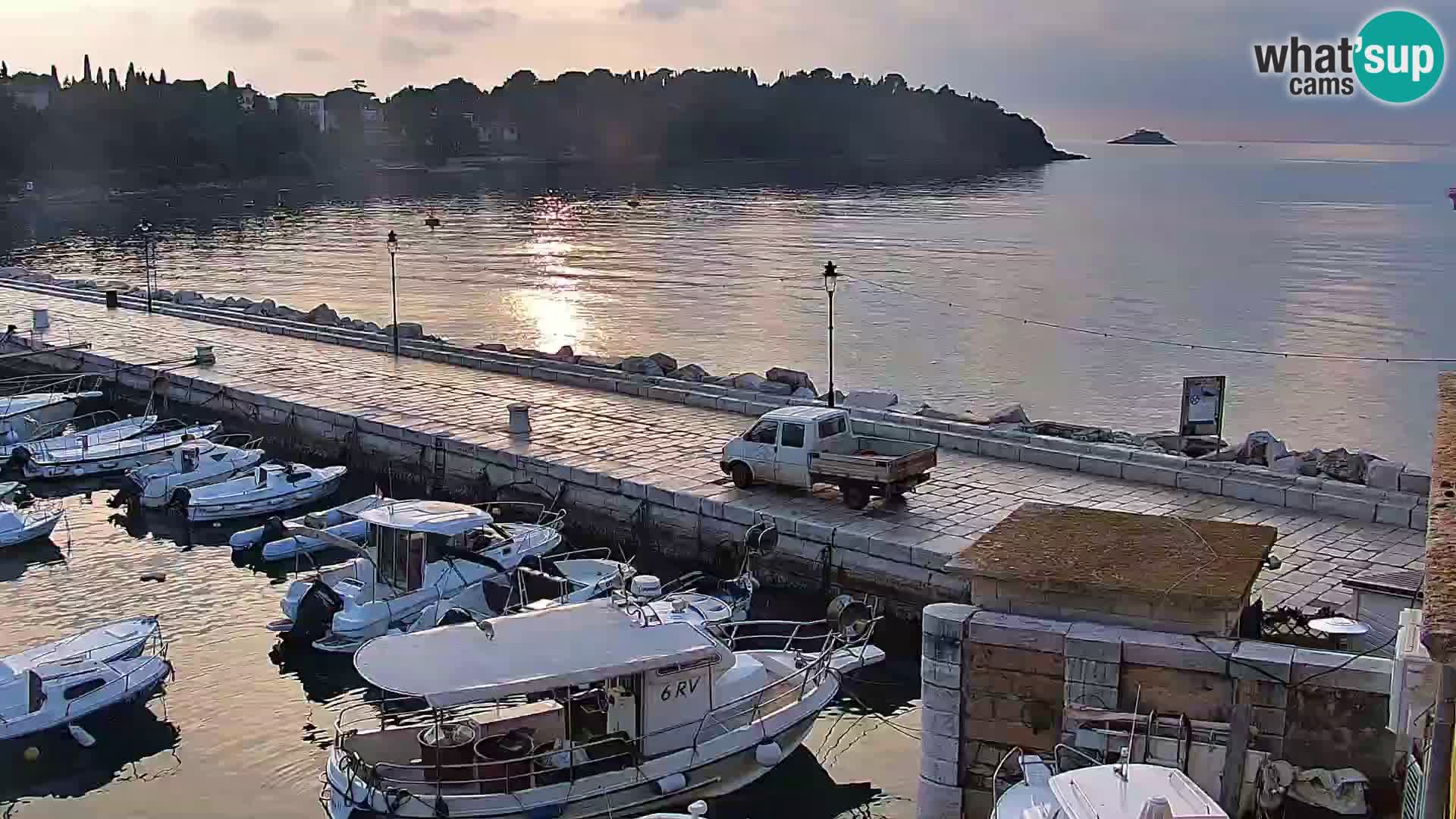 Promenada i marina u Rovinju