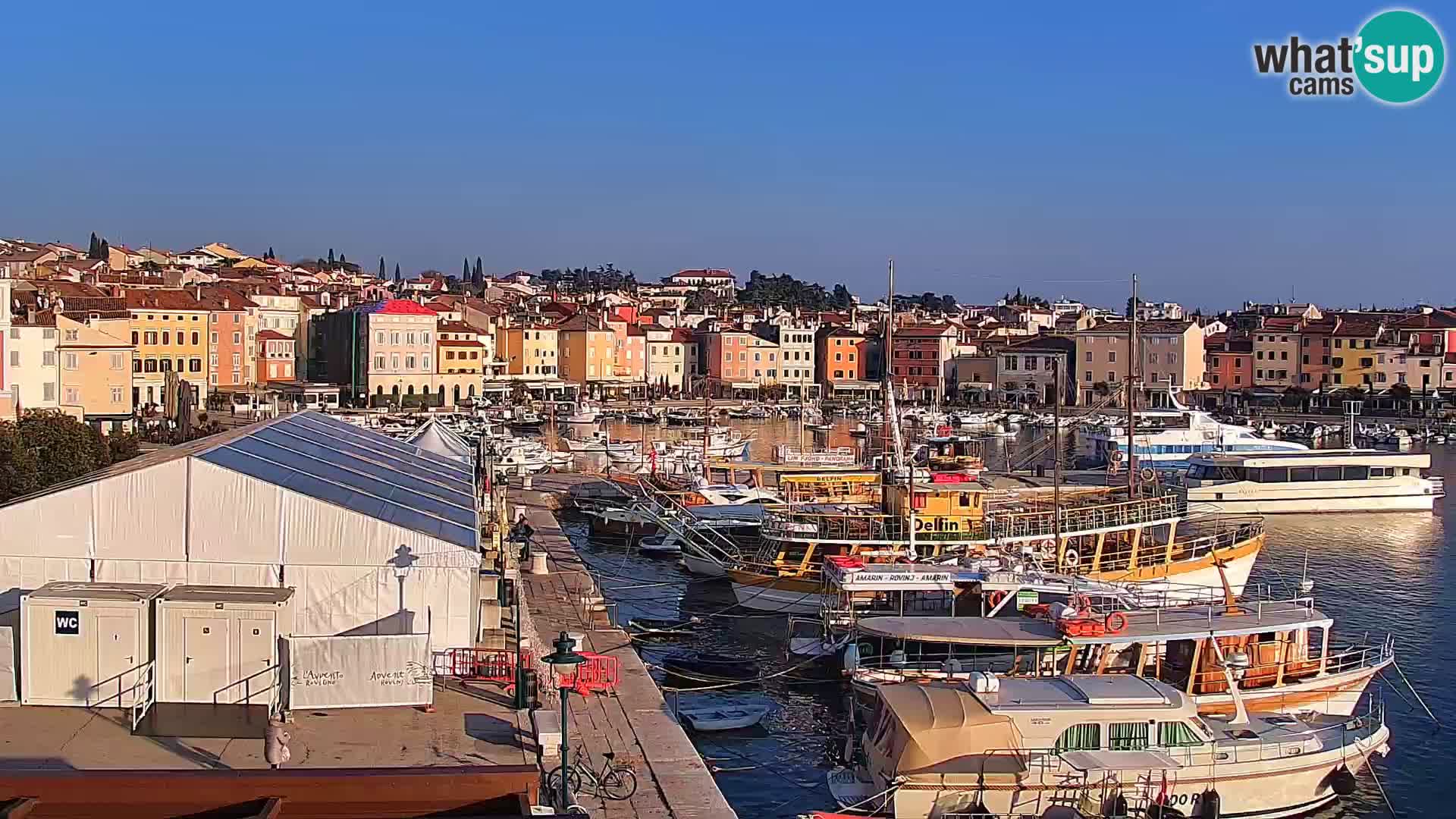 Rovinj webcam promenade and marina – Istria – Croatia