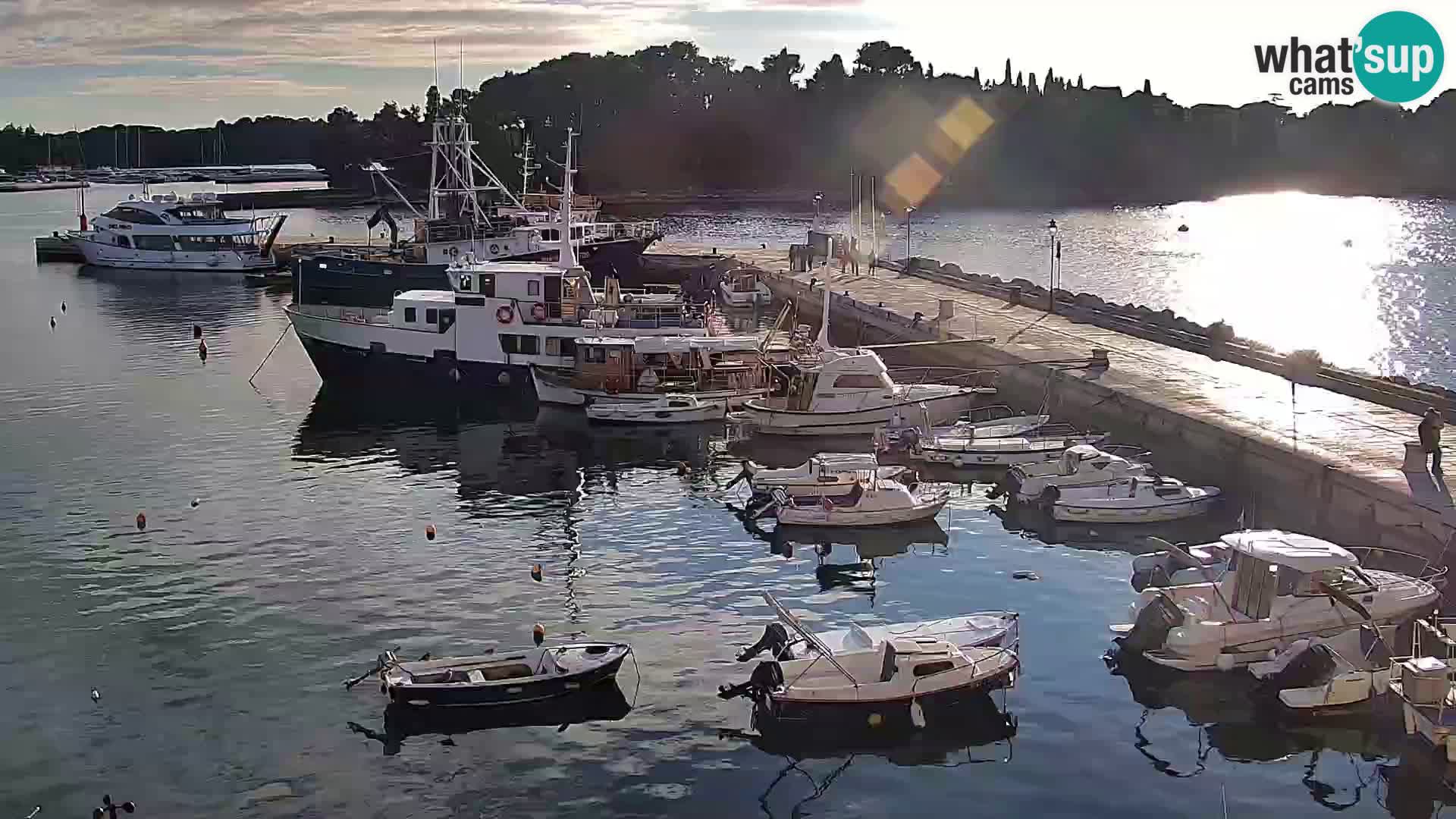 Rovinj webcam promenade and marina – Istria – Croatia