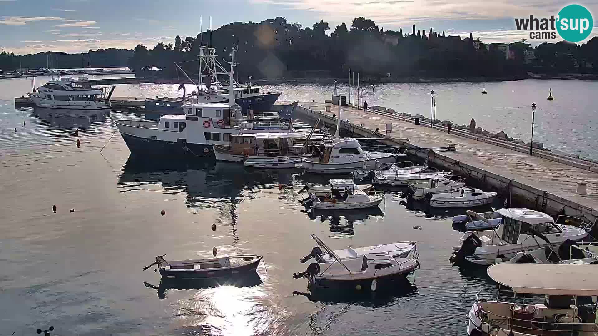 Promenade e marina en Rovinj