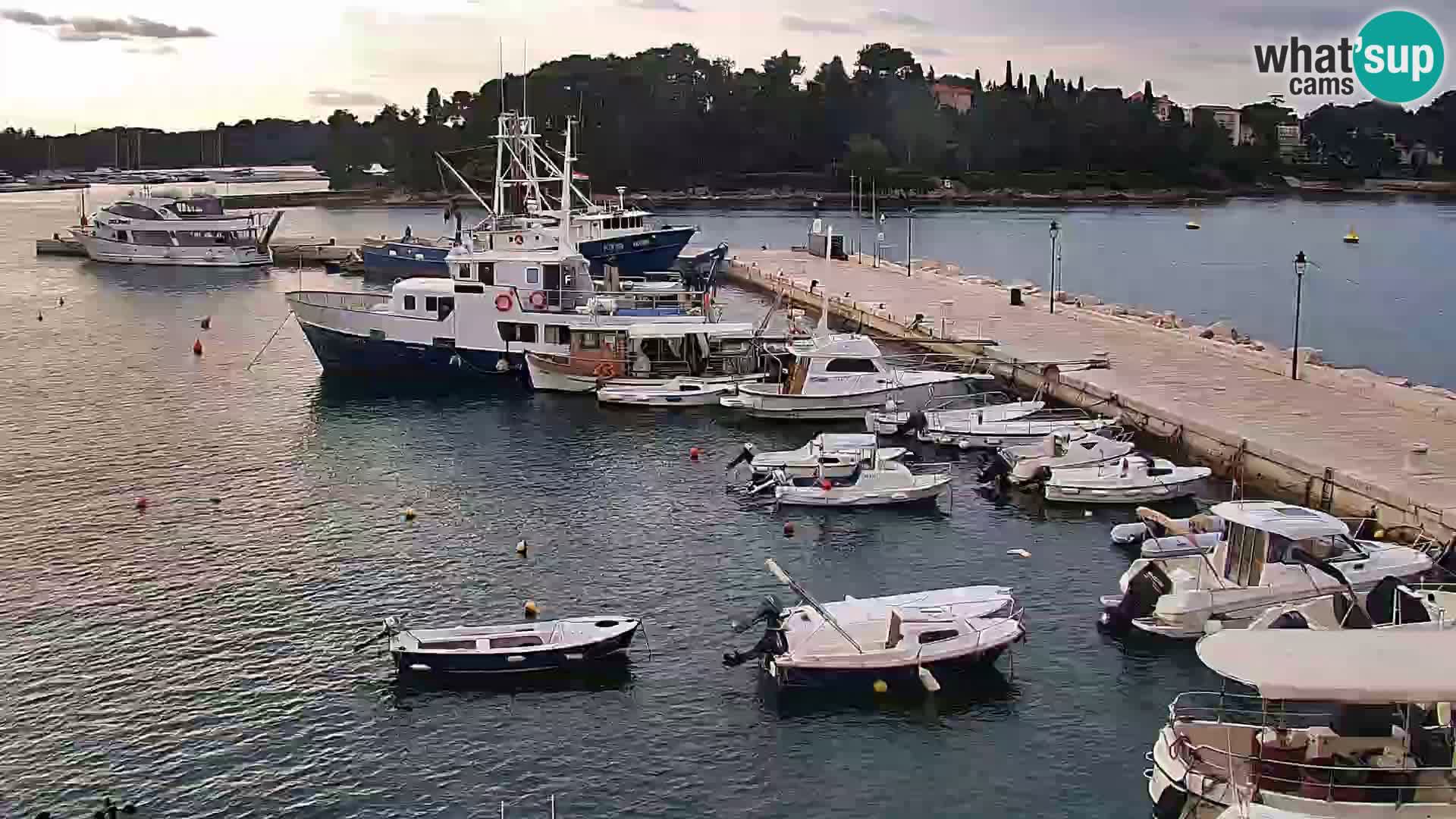 Promenade e marina en Rovinj