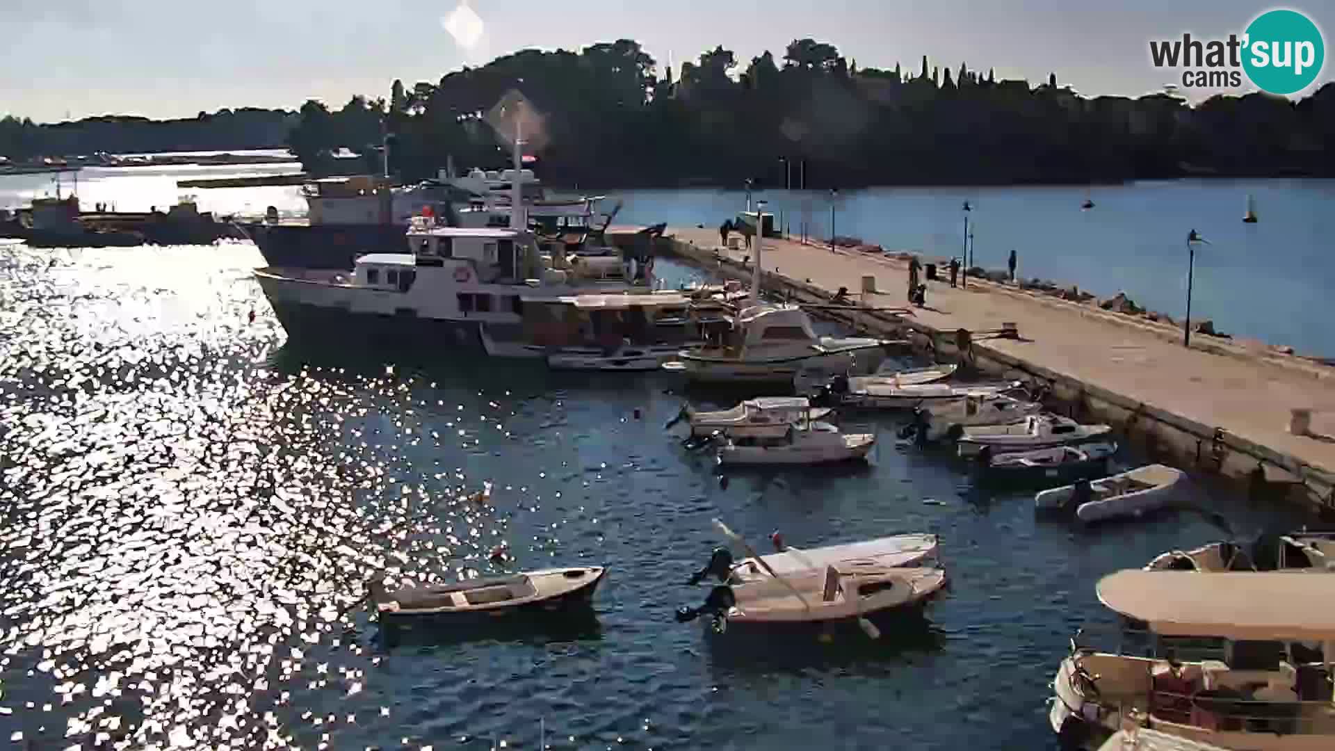 Webcam Rovigno marina | Lungomare | Rovinj Croazia