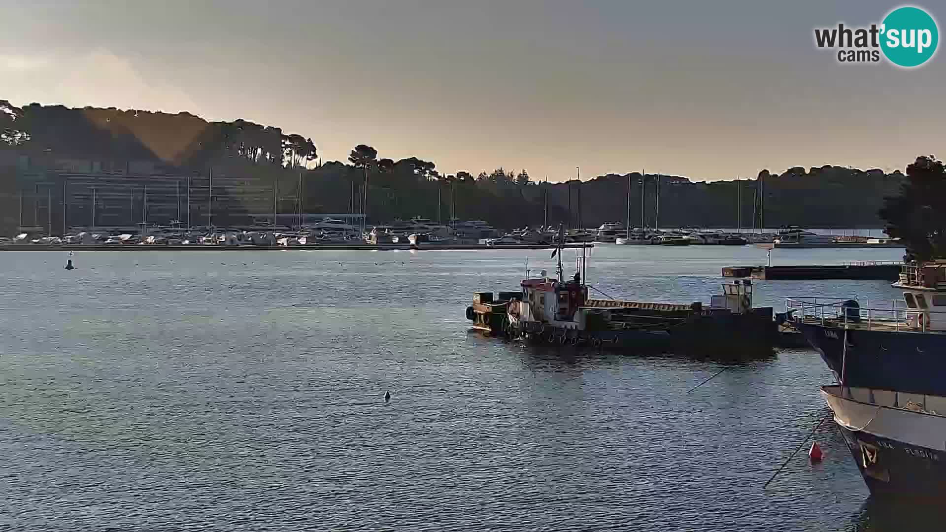 Promenada i marina u Rovinju