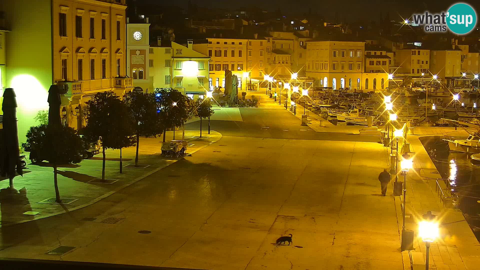 Spletna kamera Rovinj promenada in marina | Rovinj Vreme