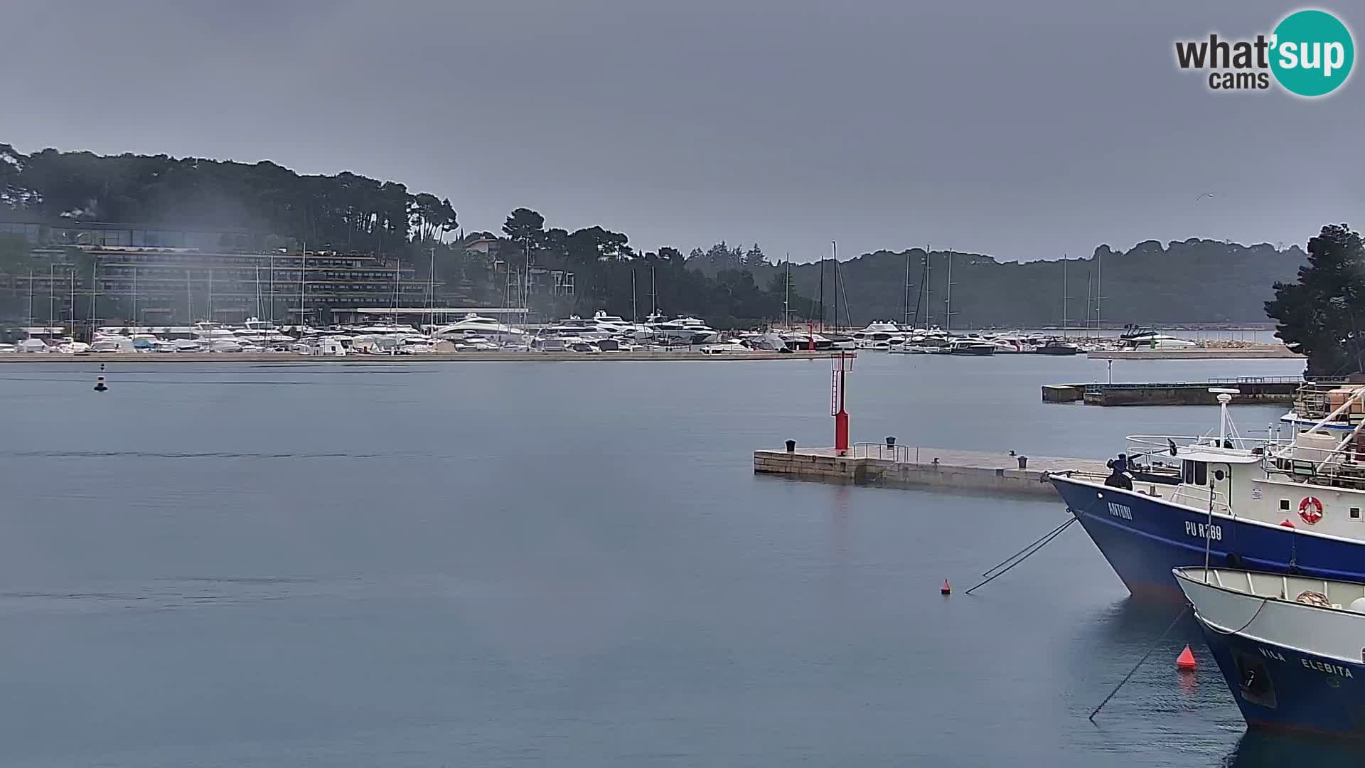 Promenade e marina en Rovinj