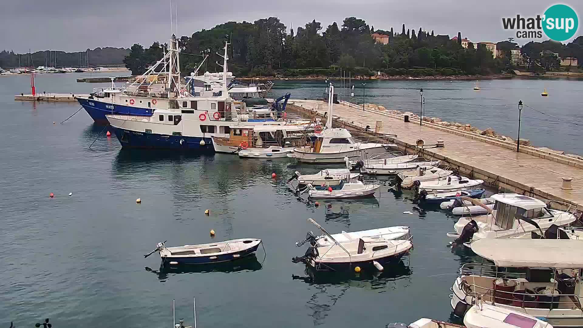 Promenade e marina en Rovinj