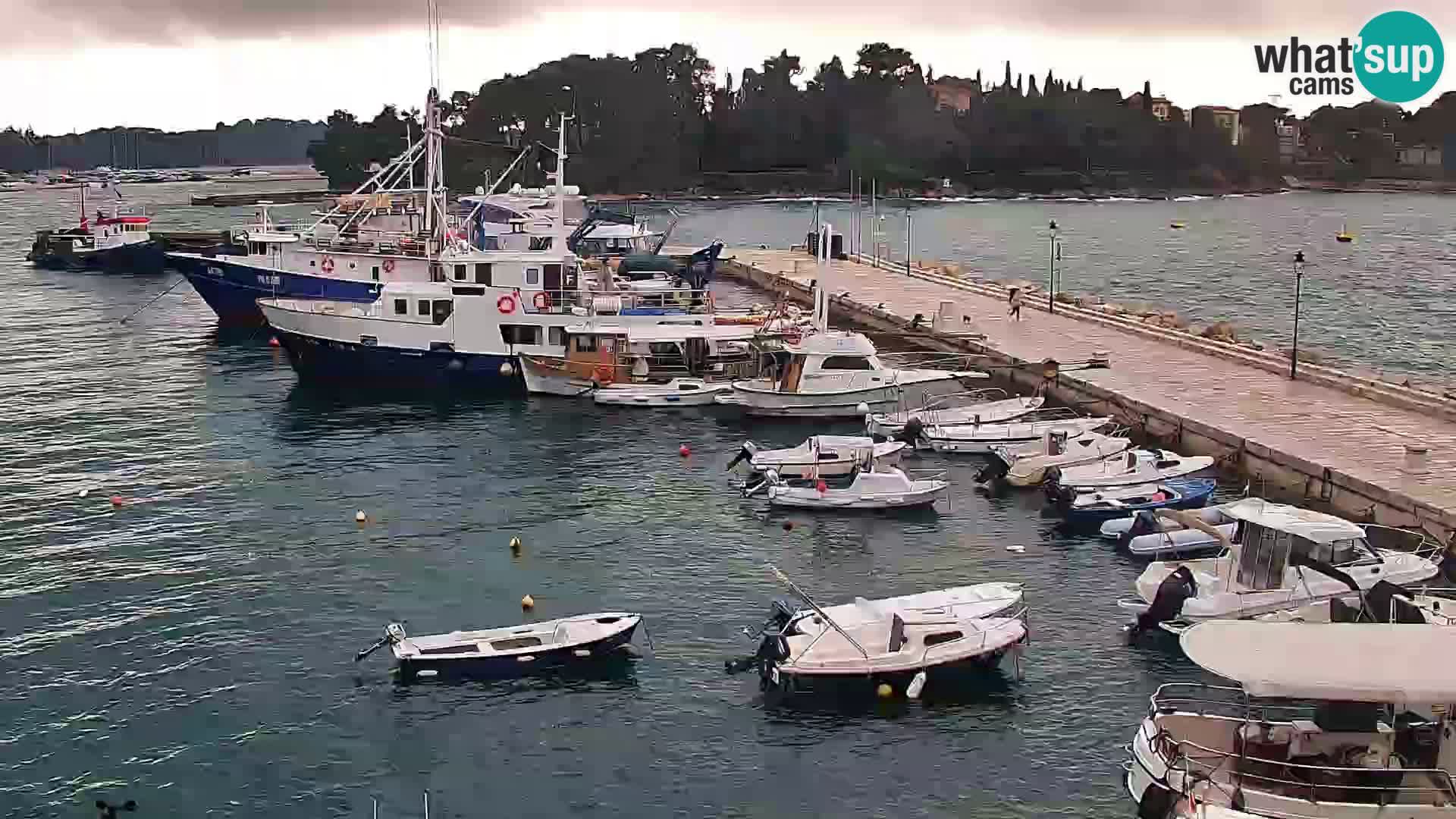 Webcam Rovigno marina | Lungomare | Rovinj Croazia