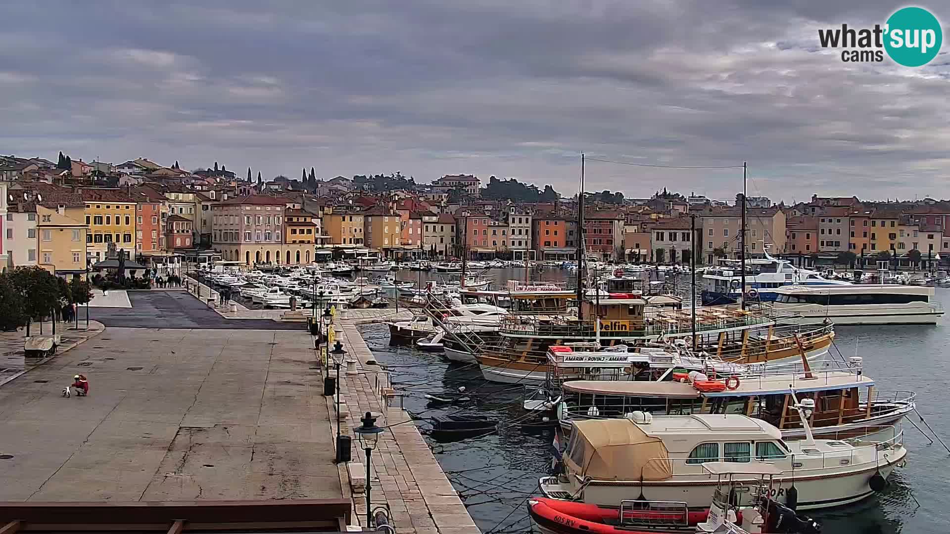 Promenade e marina en Rovinj