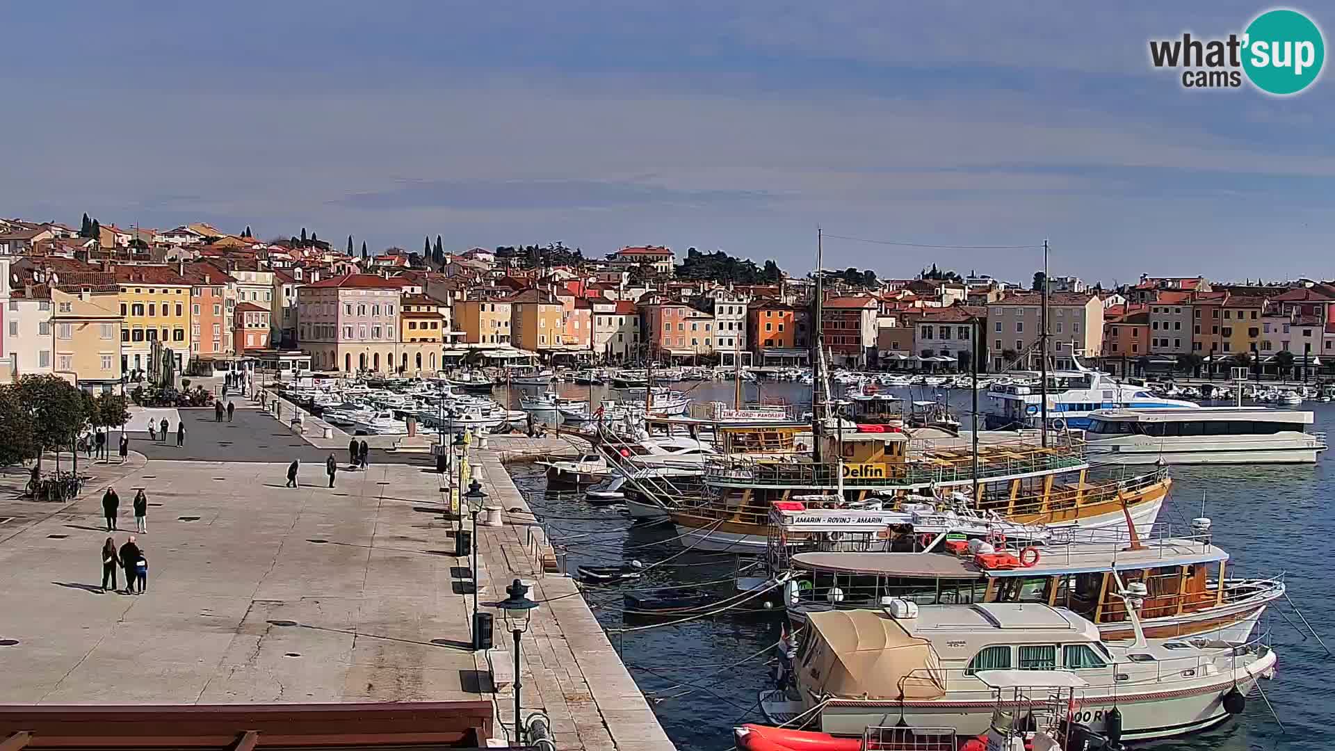 Promenade e marina en Rovinj