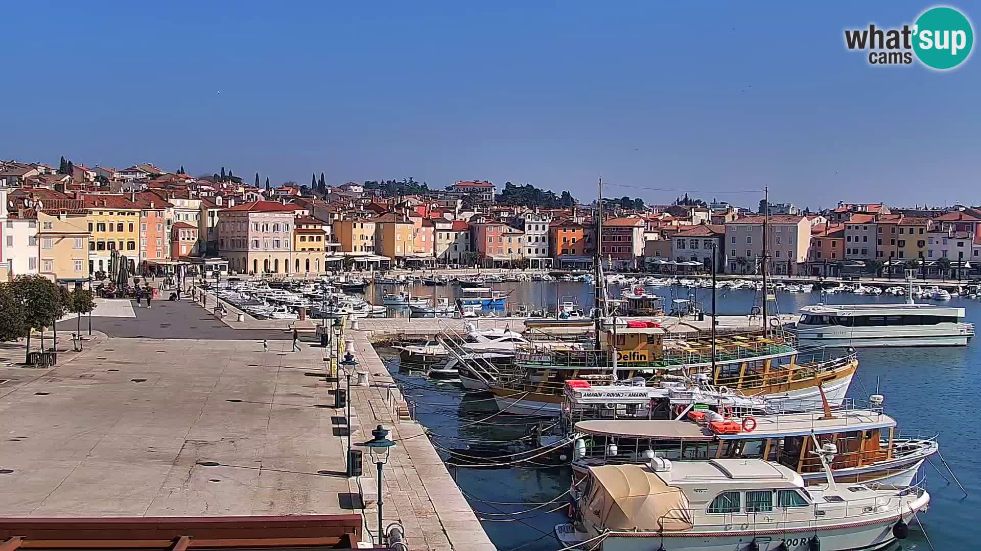 Rovinj webcam promenade and marina – Istria – Croatia