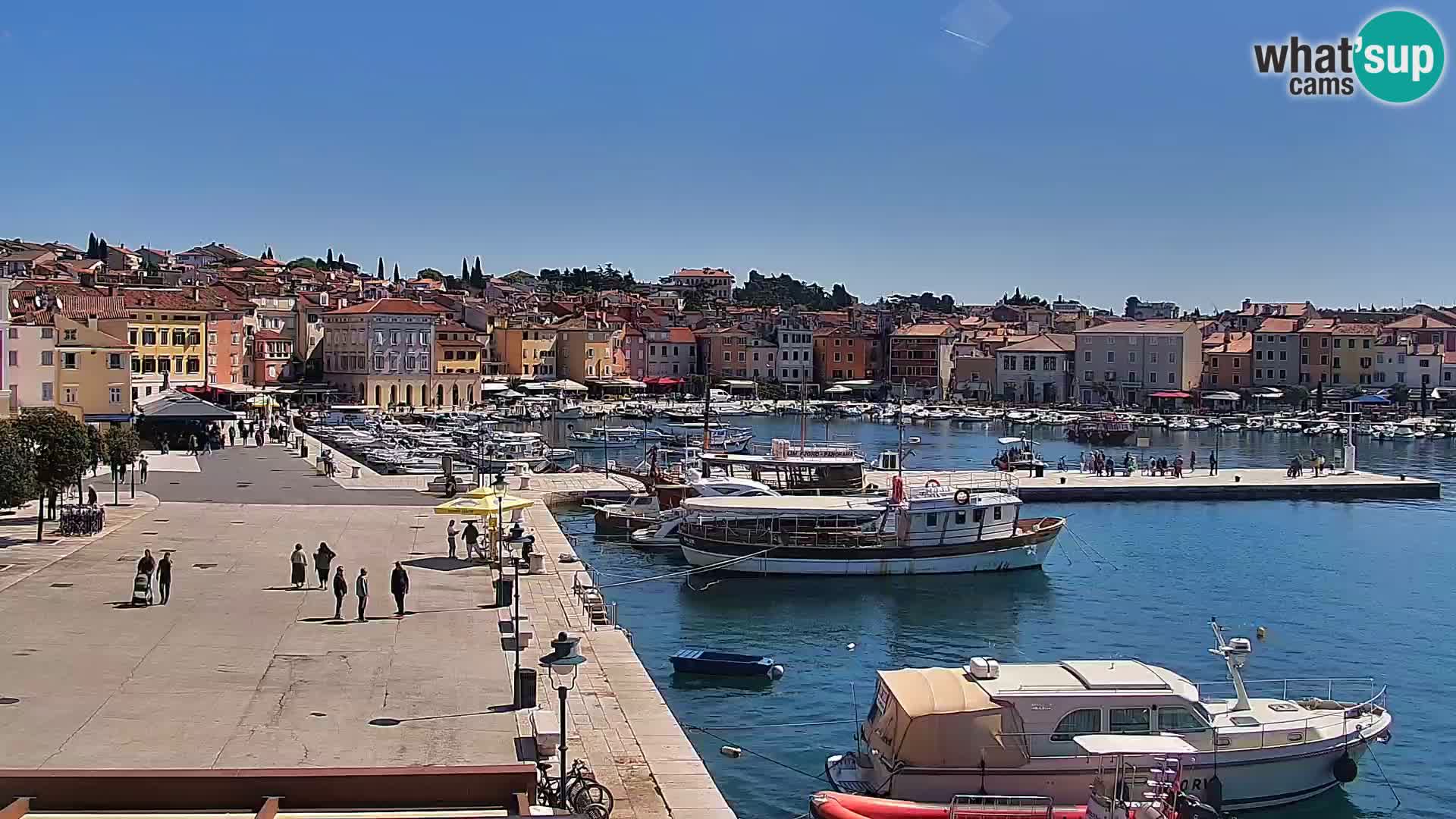 Webcam Rovigno marina | Lungomare | Rovinj Croazia
