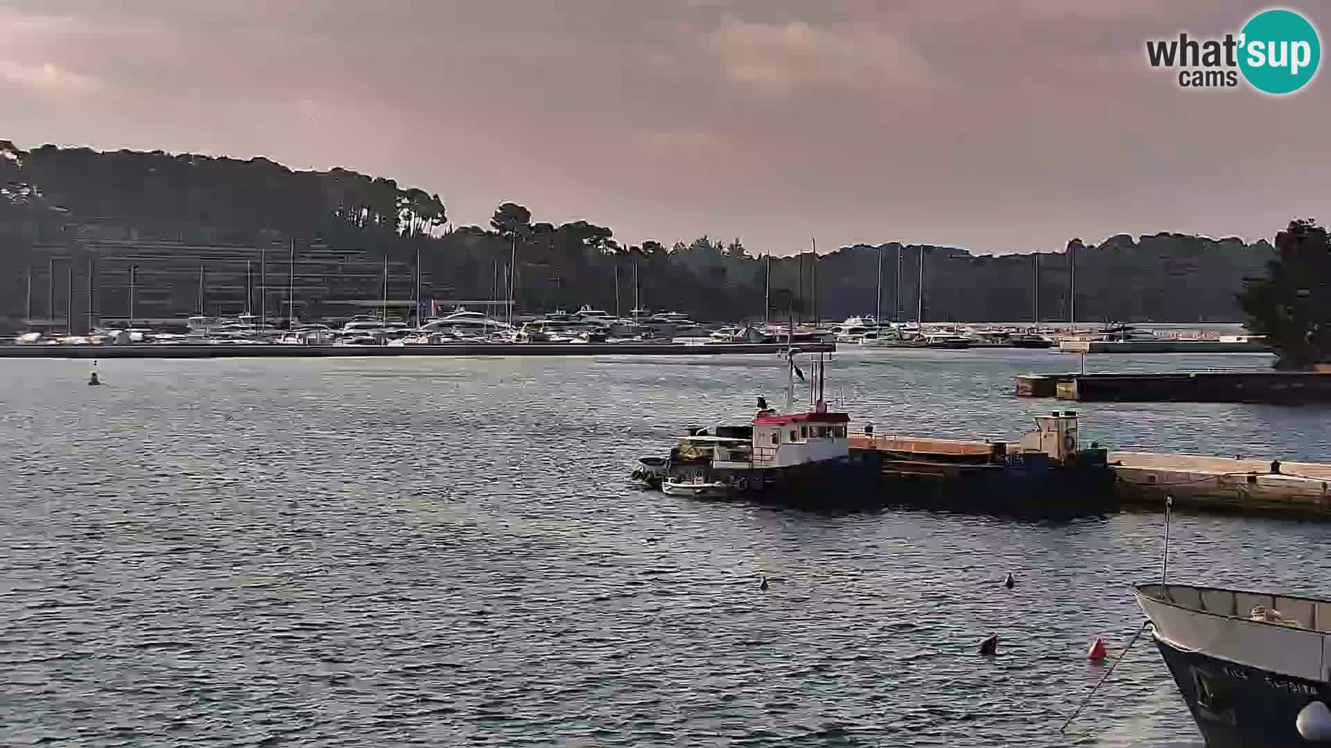 Webcam Rovigno marina | Lungomare | Rovinj Croazia