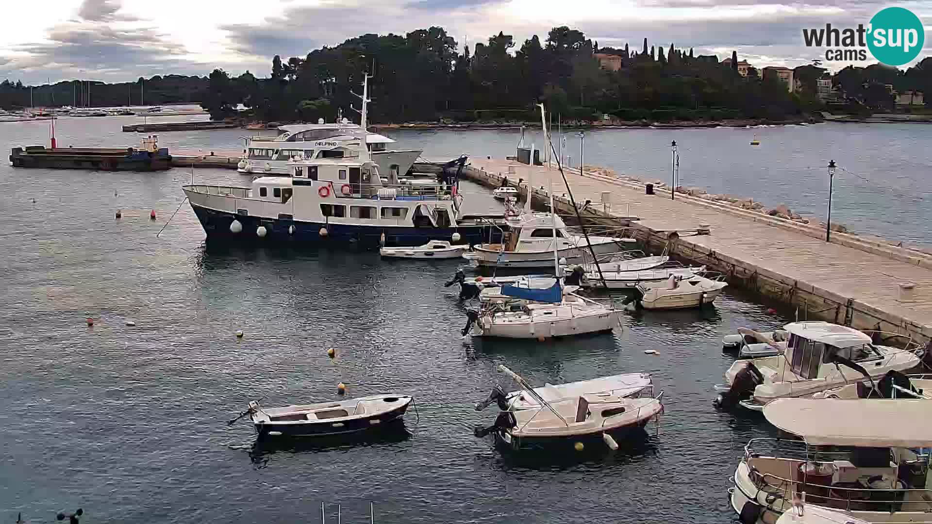 Promenade e marina en Rovinj
