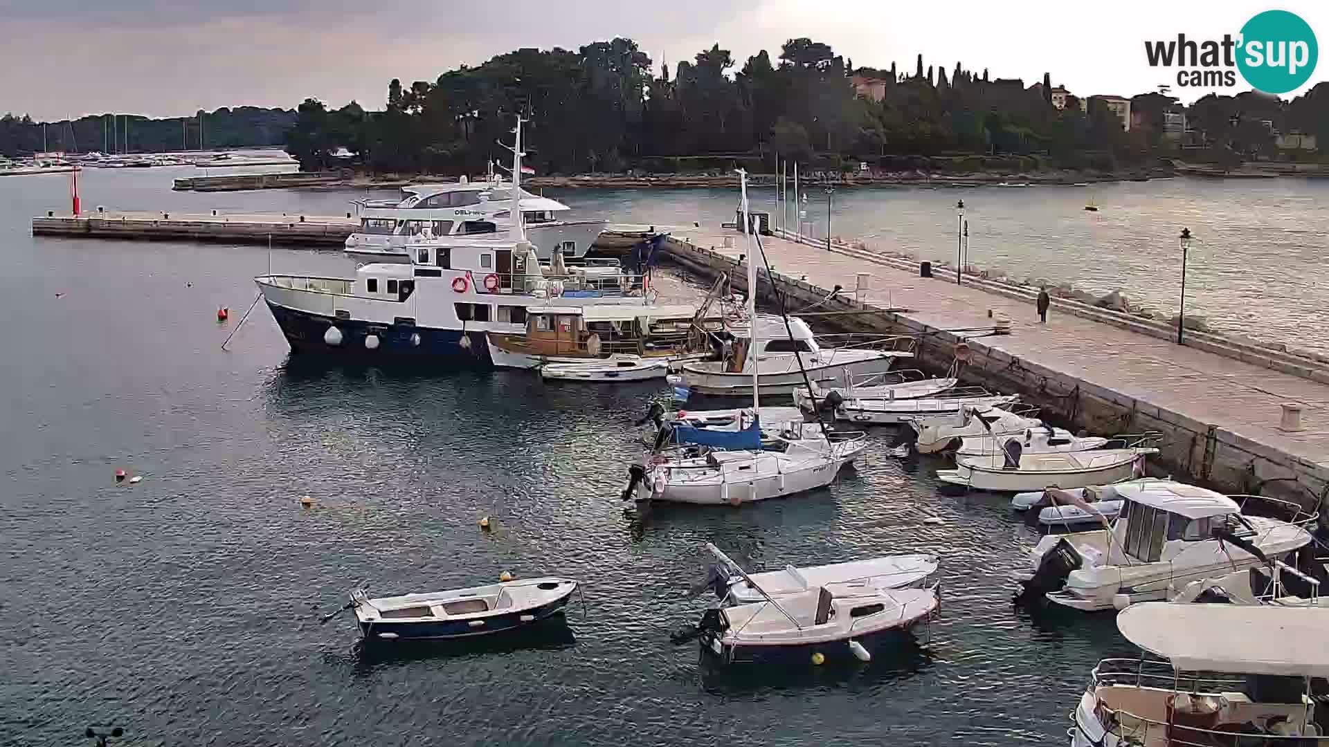 Webcam Rovinj Promenade – Istrien – Kroatien
