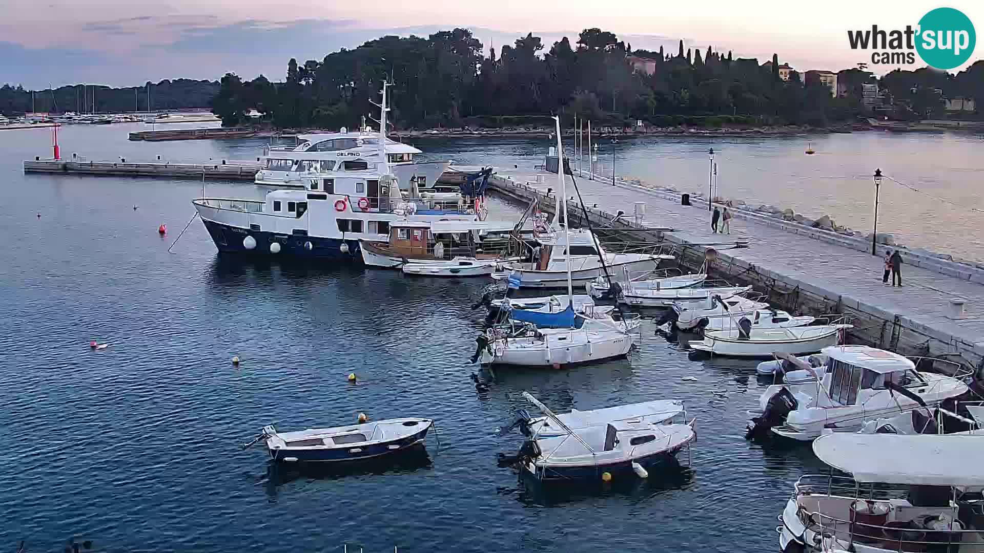 Webcam Rovigno marina | Lungomare | Rovinj Croazia
