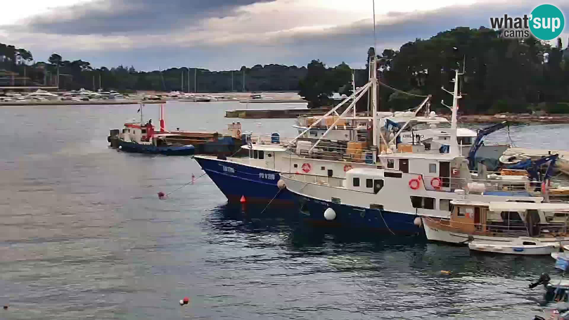 Promenade e marina a Rovinj