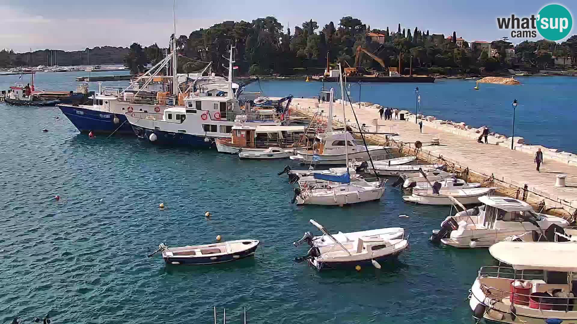 Rovinj webcam promenade and marina – Istria – Croatia