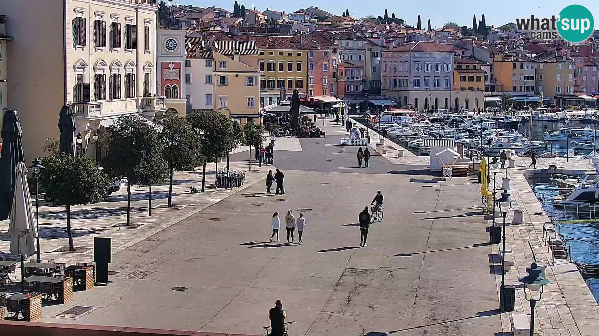 Rovinj webcam promenade and marina – Istria – Croatia