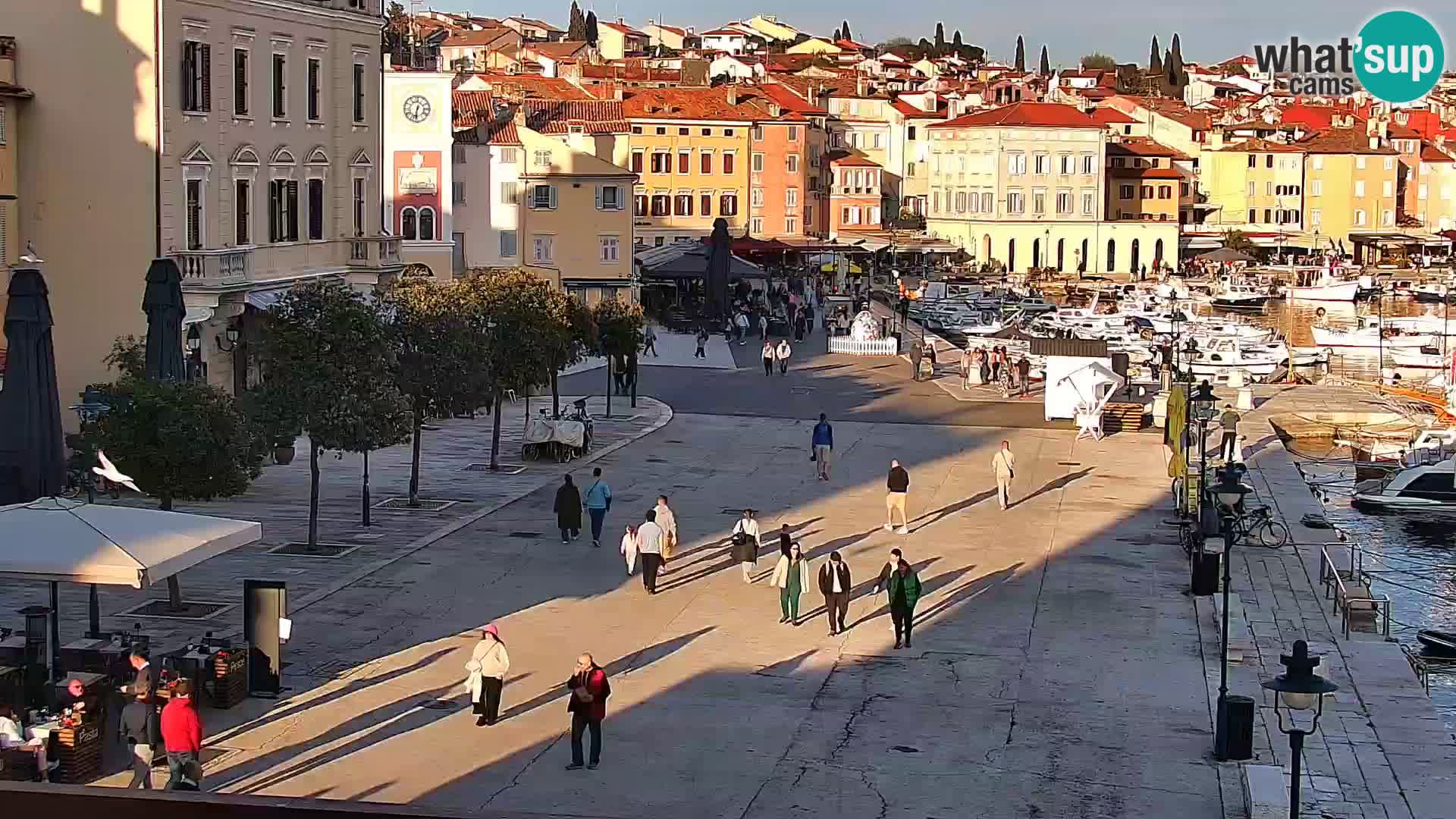 Rovinj webcam promenade and marina – Istria – Croatia