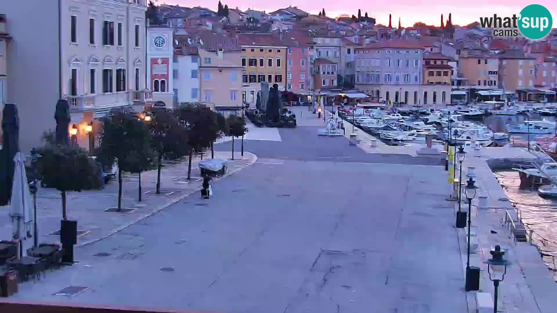 Promenada i marina u Rovinju