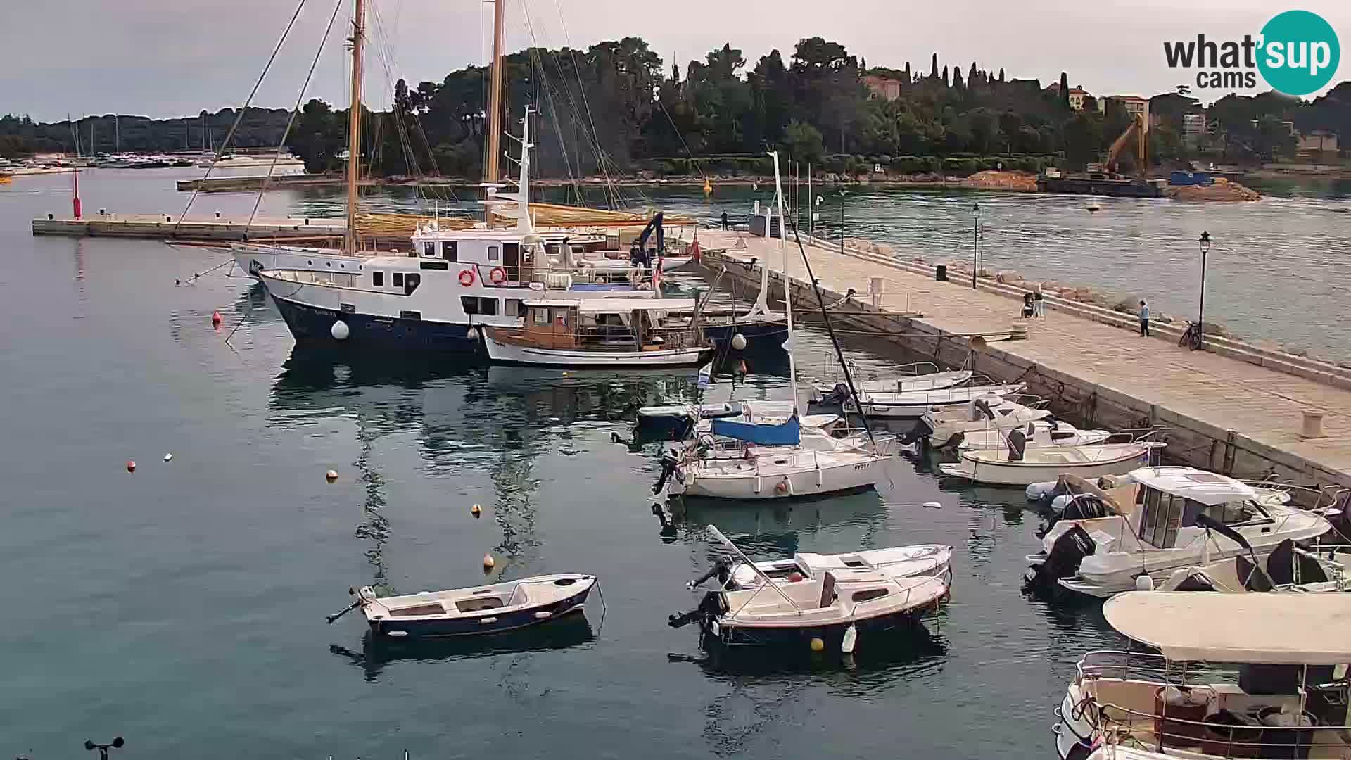Promenade e marina en Rovinj