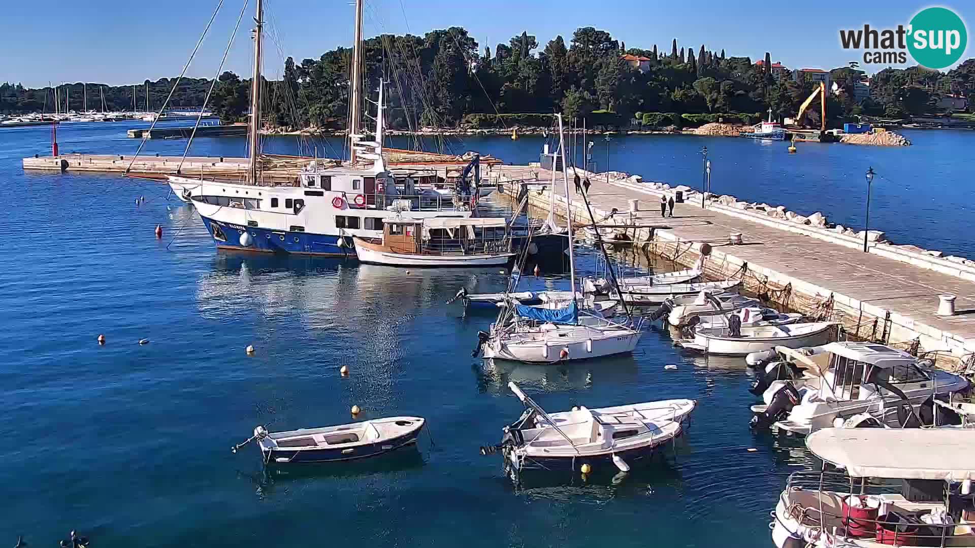 Promenade e marina en Rovinj
