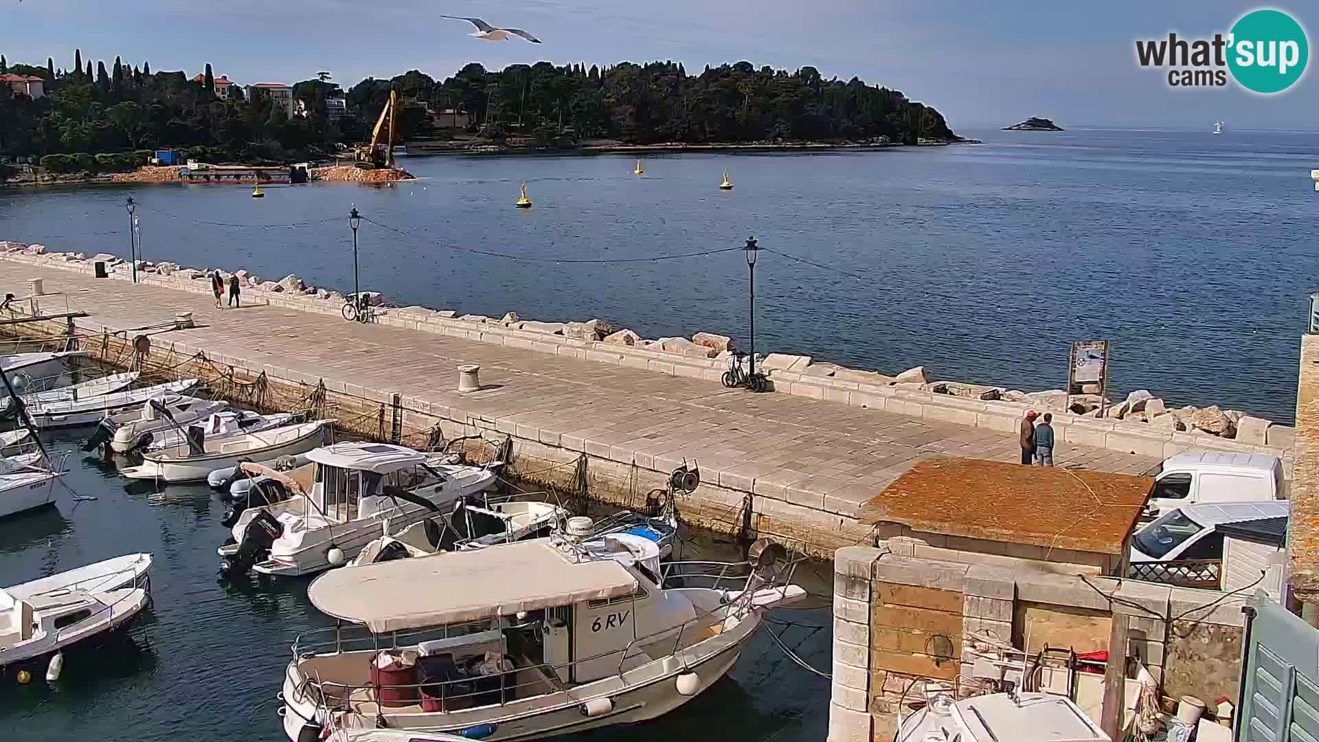 Promenade e marina en Rovinj