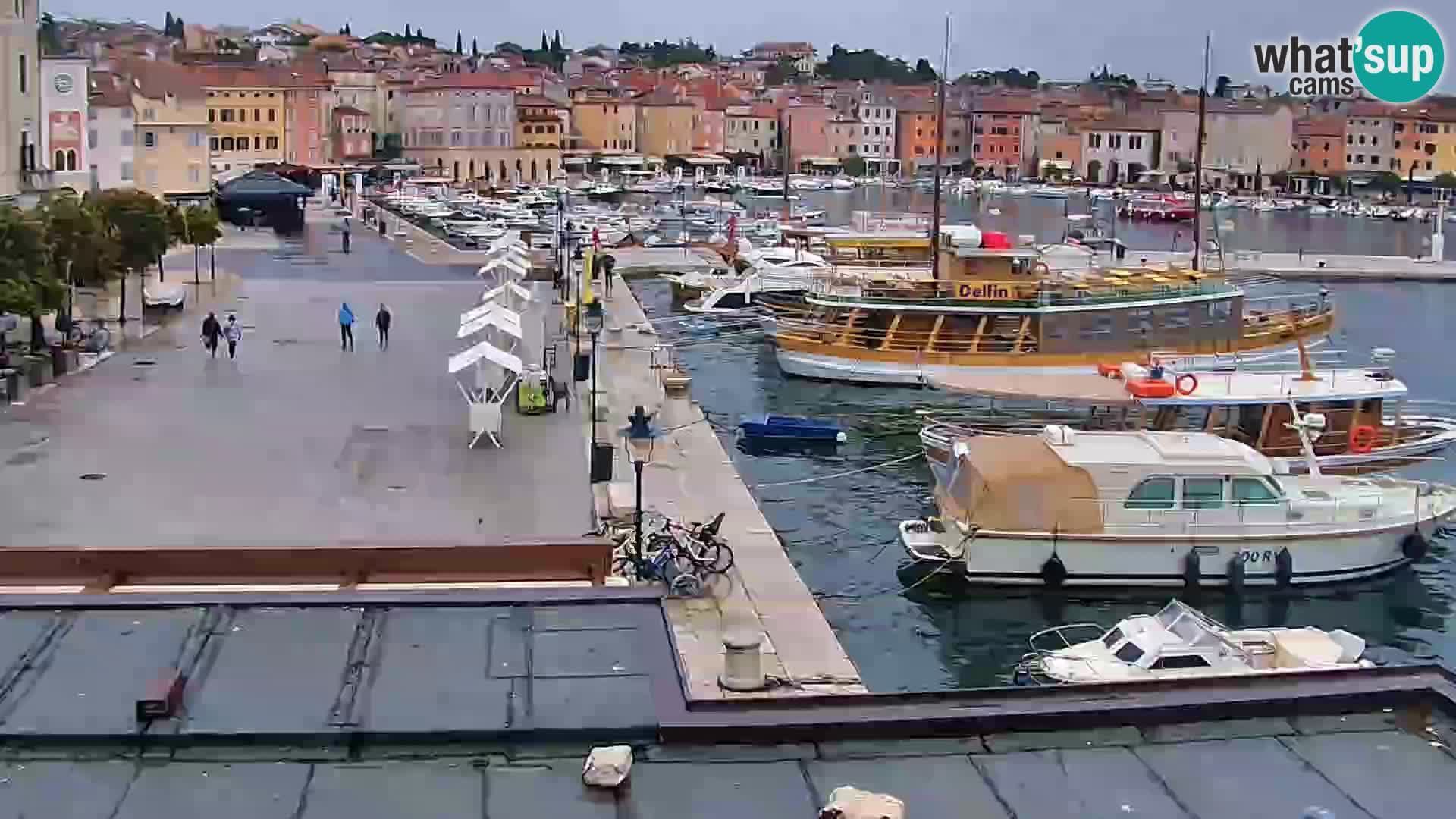 Rovinj webcam promenade and marina – Istria – Croatia