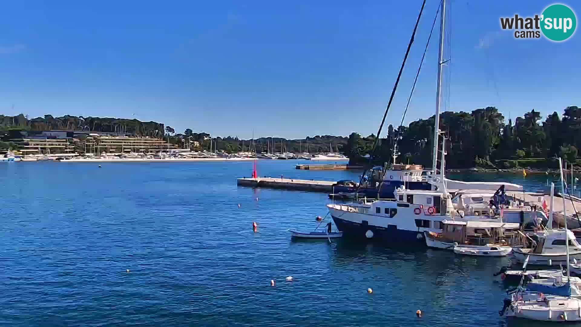 Webcam Rovigno marina | Lungomare | Rovinj Croazia