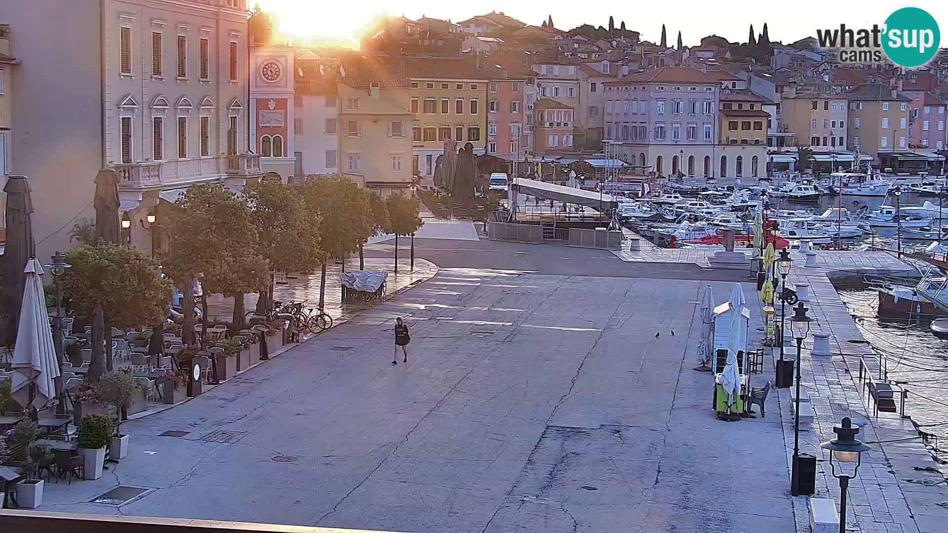 Rovinj webcam promenade and marina – Istria – Croatia