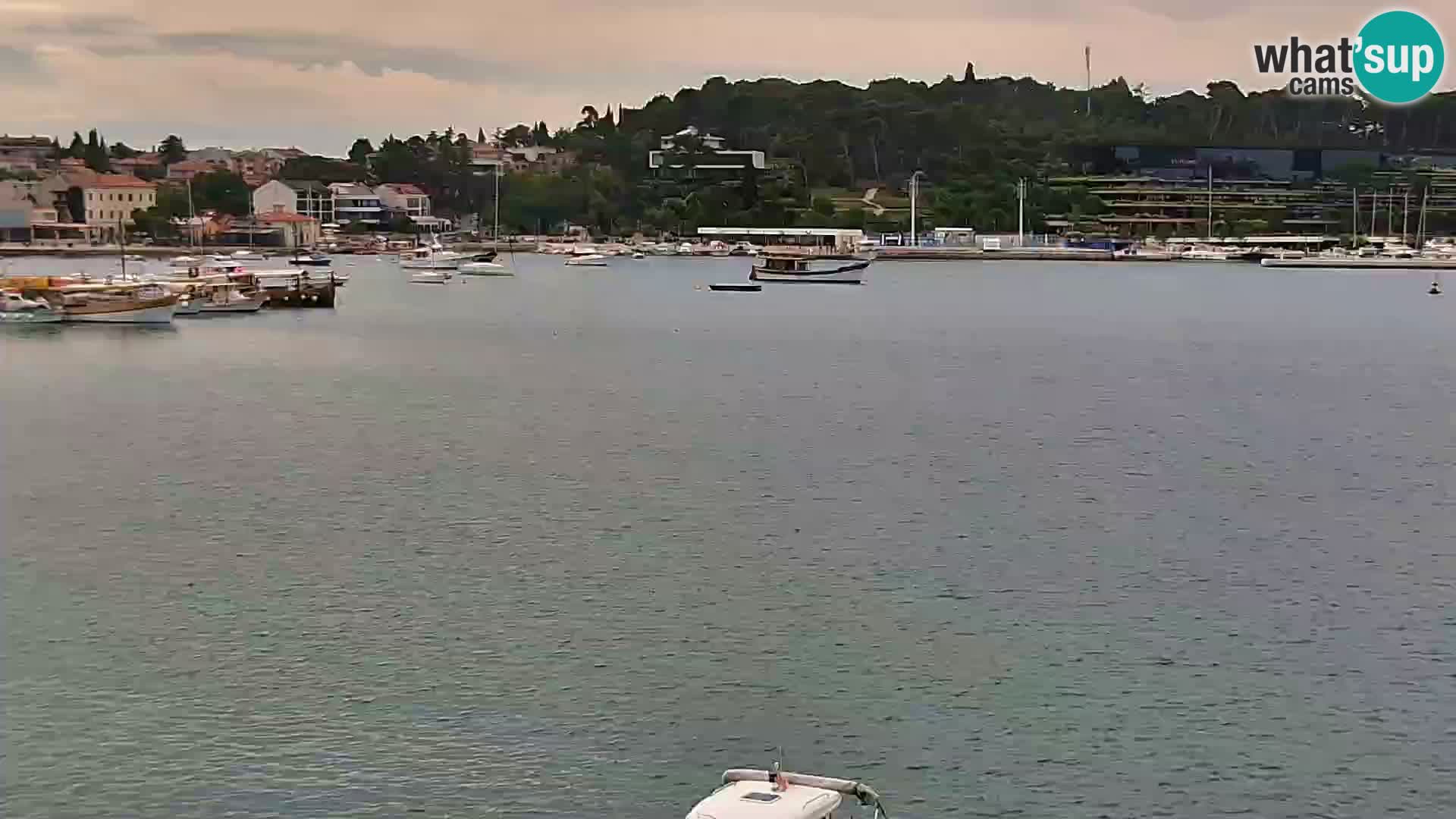 Spletna kamera Rovinj promenada in marina | Rovinj Vreme