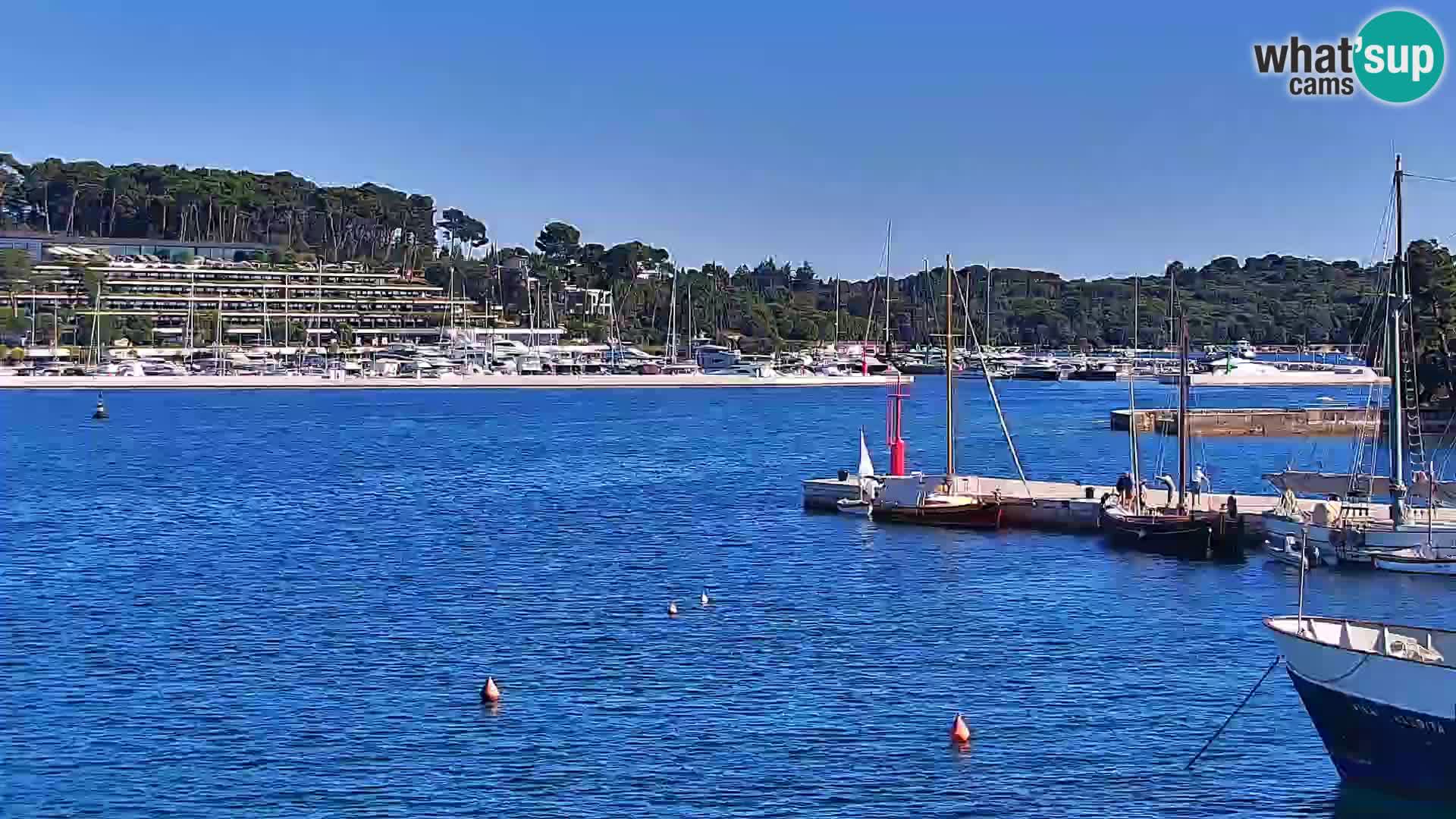 Promenade e marina en Rovinj
