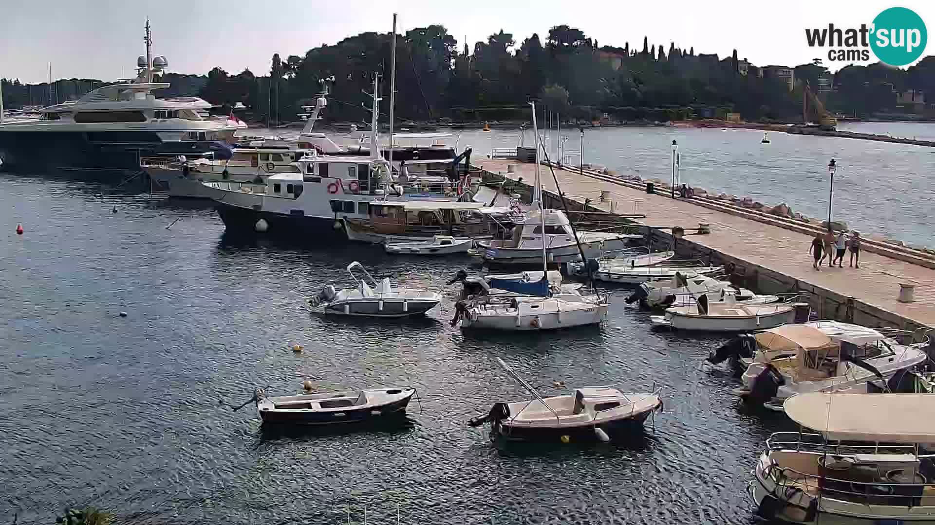 Promenade e marina en Rovinj