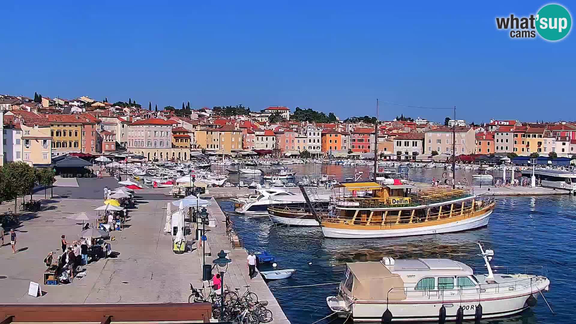 Webcam Rovigno marina | Lungomare | Rovinj Croazia