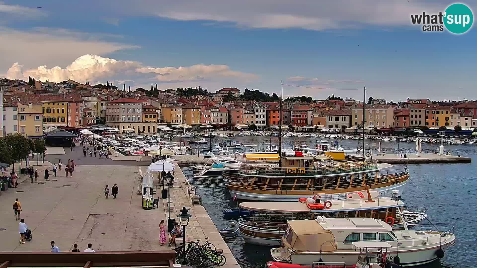 Promenade e marina en Rovinj