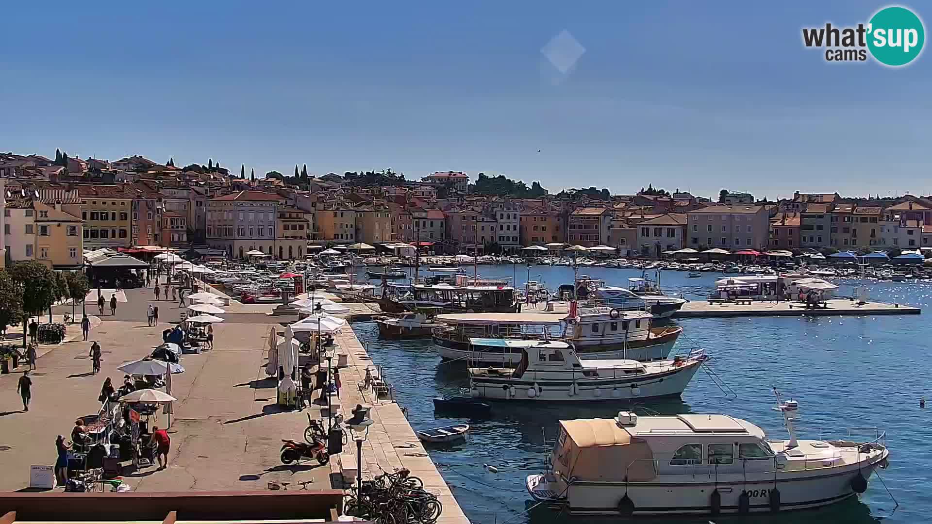 Rovinj webcam promenade and marina – Istria – Croatia
