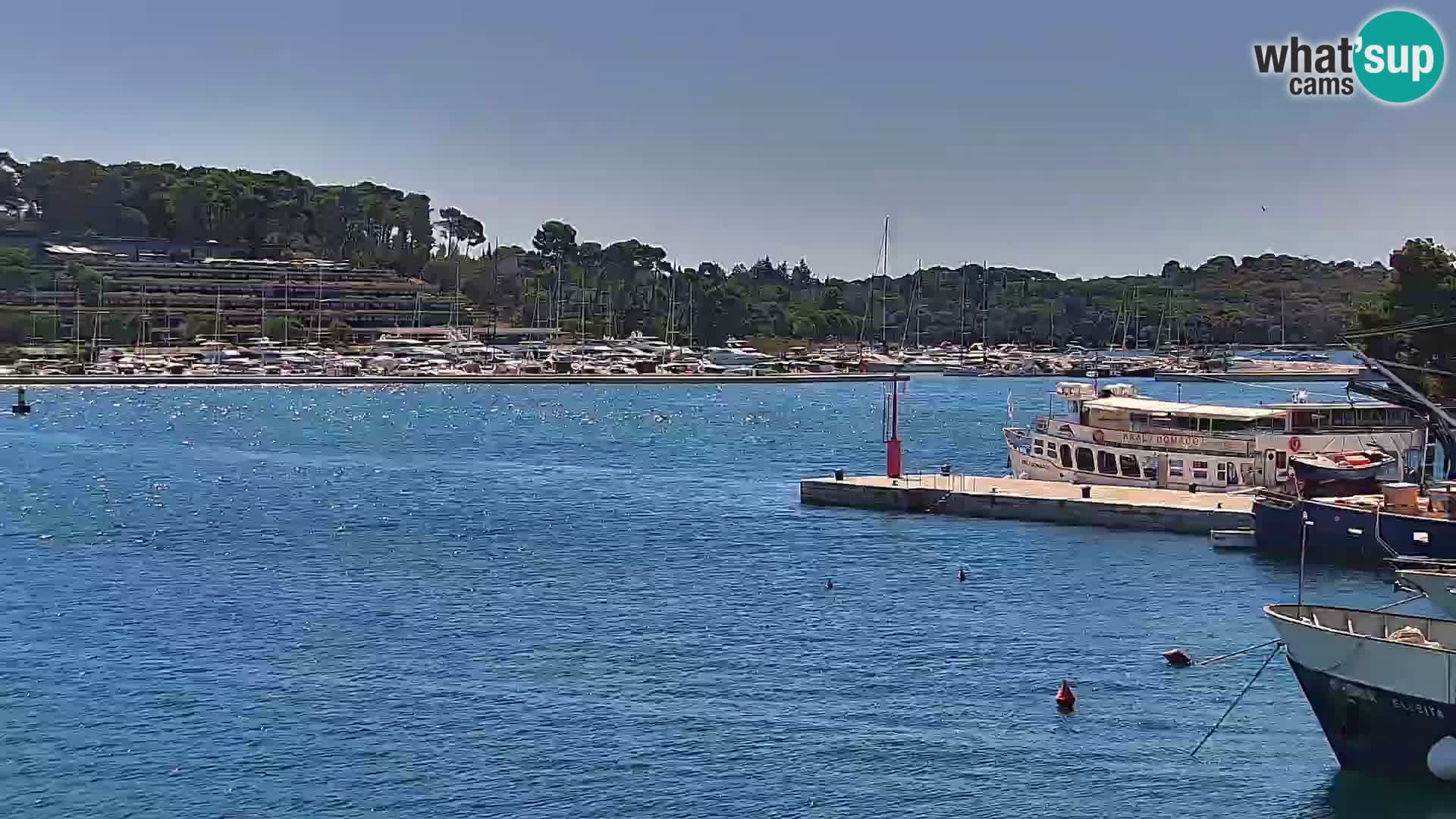 Promenade e marina en Rovinj