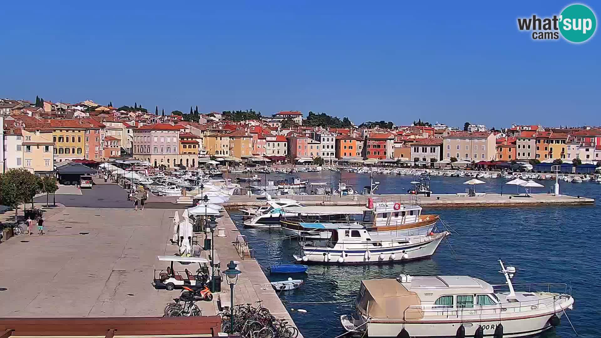 Promenada i marina u Rovinju