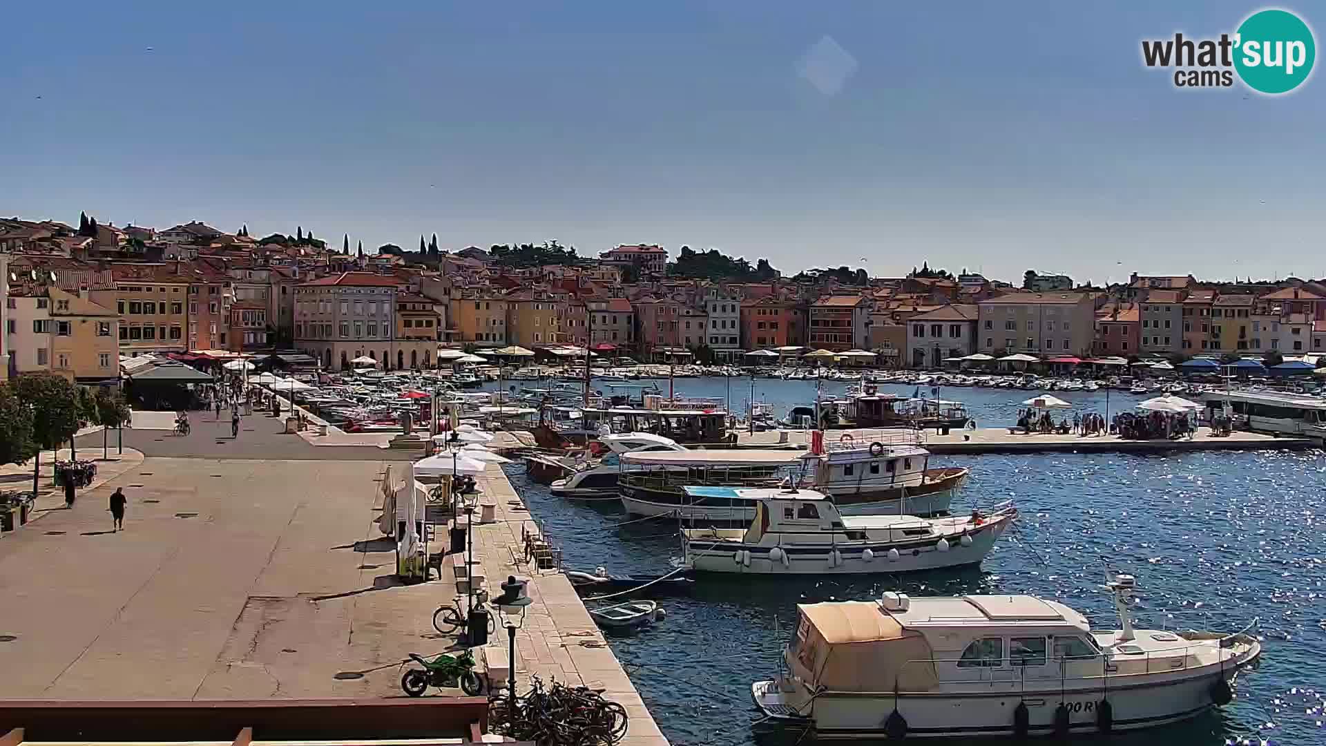 Webcam Rovinj Promenade – Istrien – Kroatien