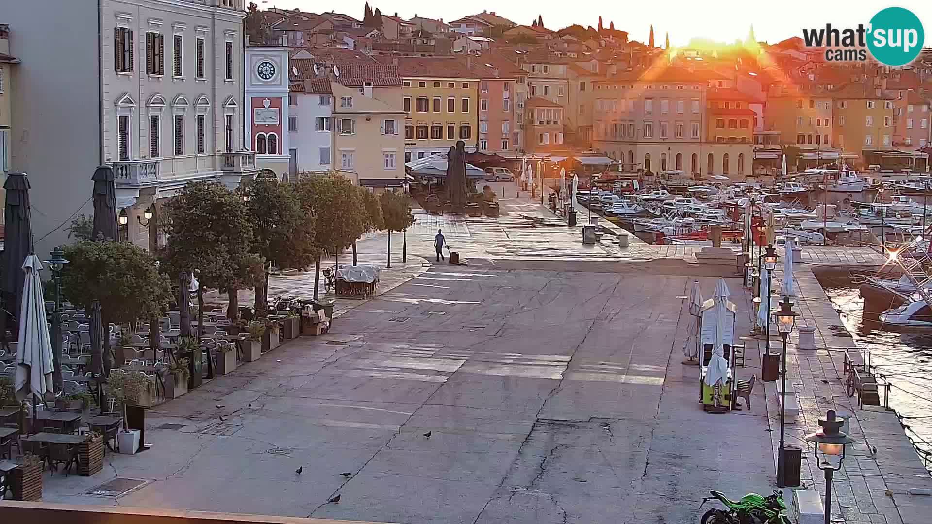 Rovinj webcam promenade and marina – Istria – Croatia