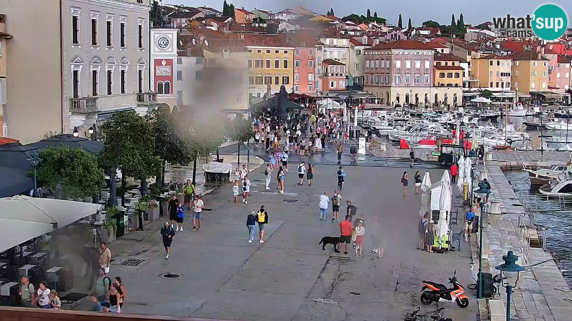 Rovinj webcam promenade and marina – Istria – Croatia