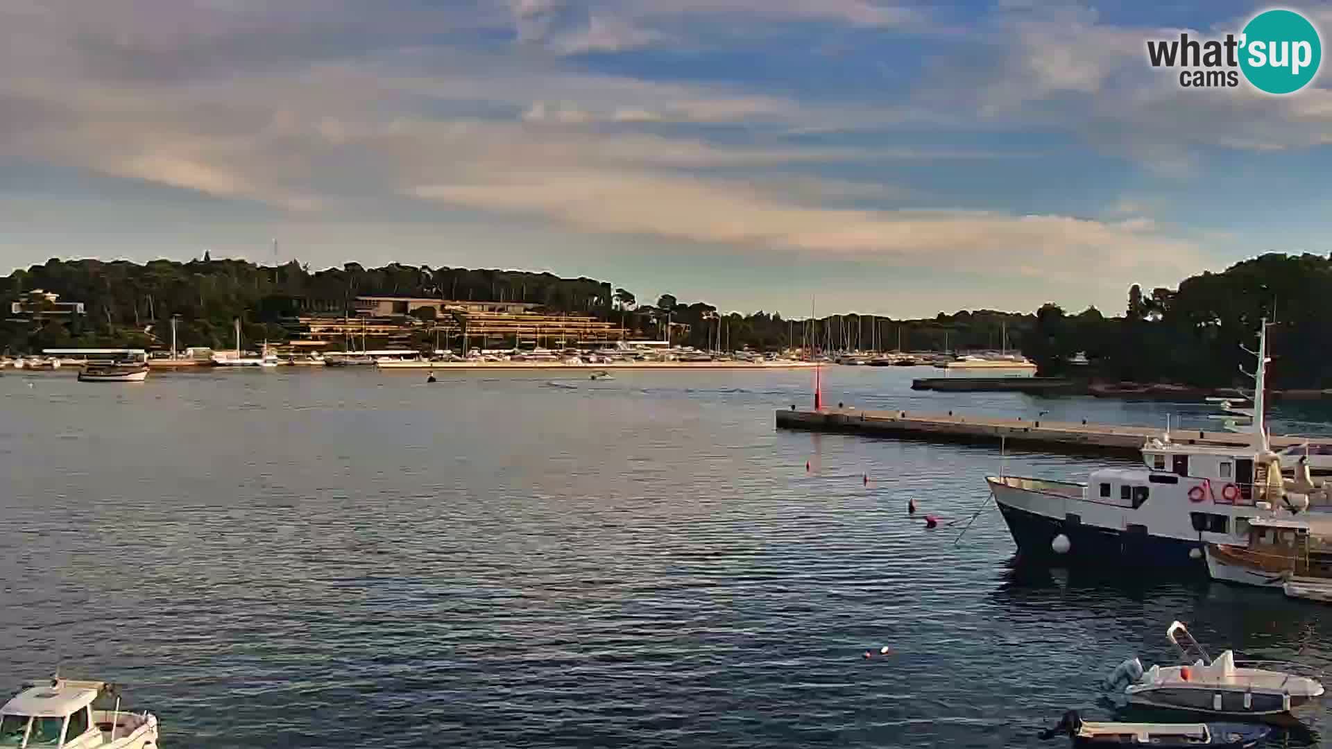 Webcam Rovigno marina | Lungomare | Rovinj Croazia