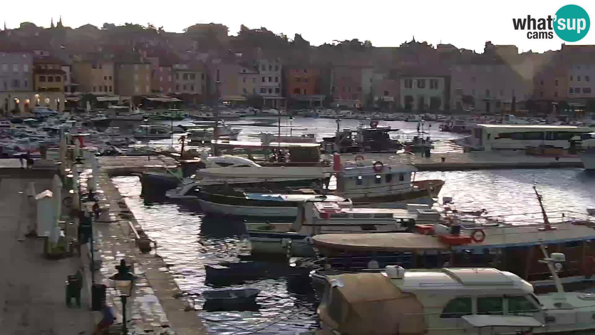 Promenada i marina u Rovinju
