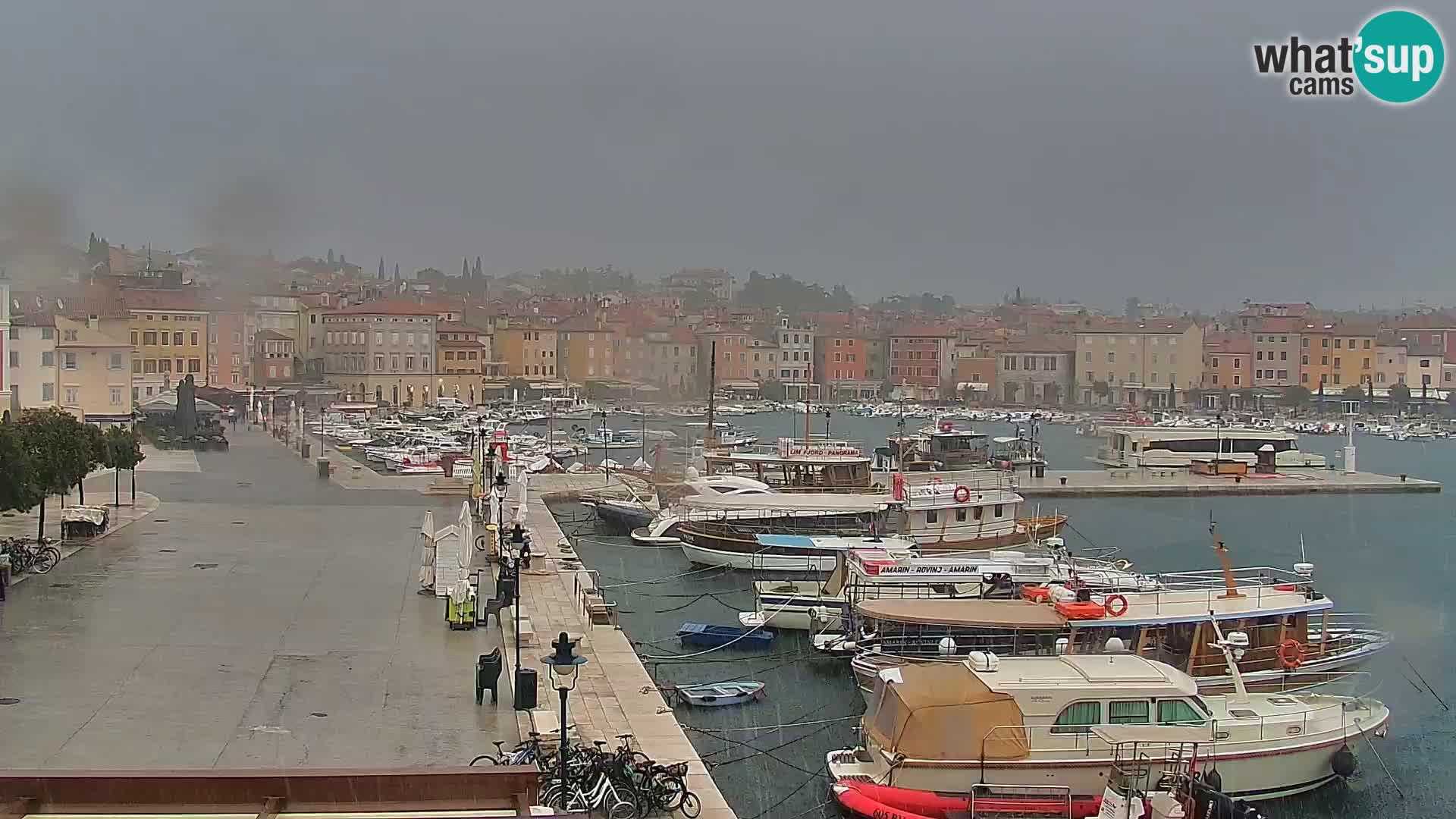 Promenade e marina en Rovinj