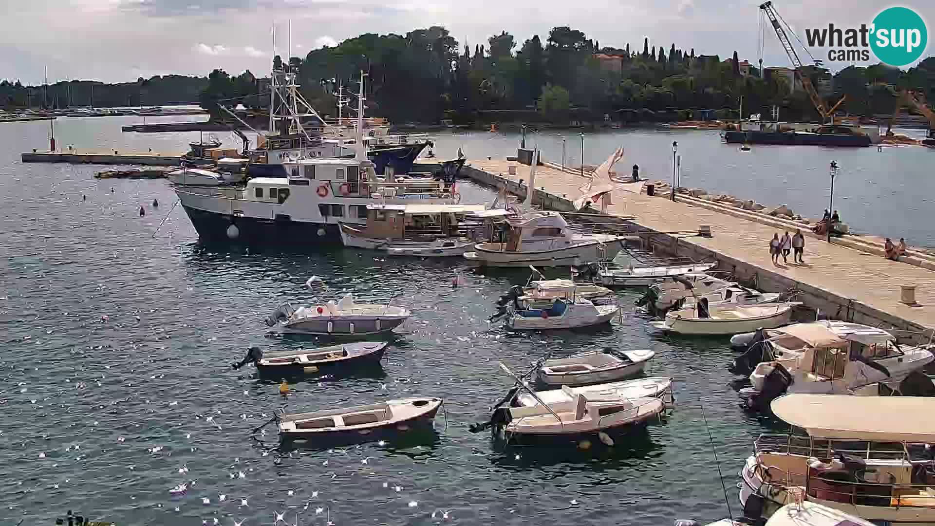 Webcam Rovigno marina | Lungomare | Rovinj Croazia